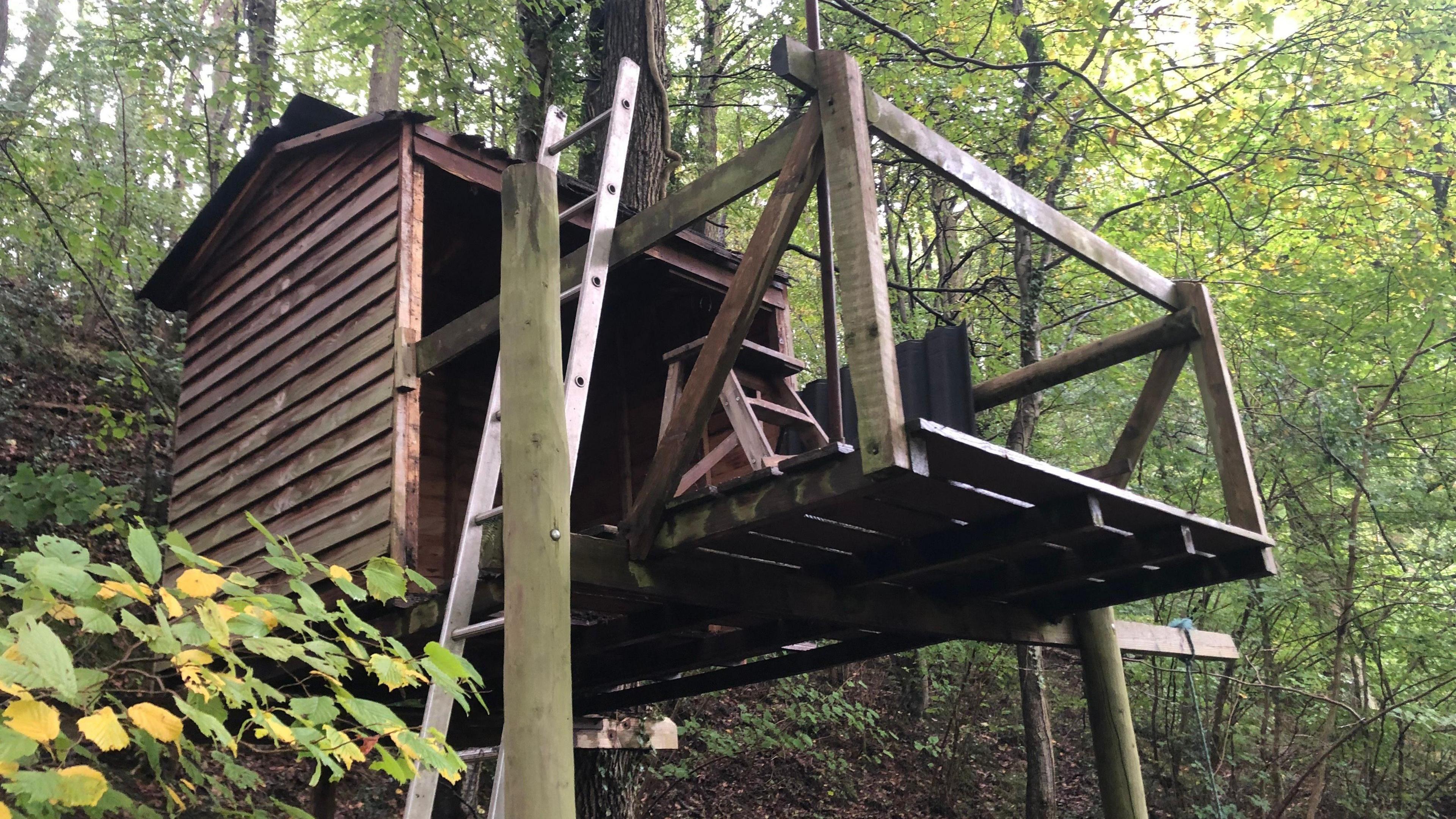 Treehouse made of wood in a forrest with a metal ladder