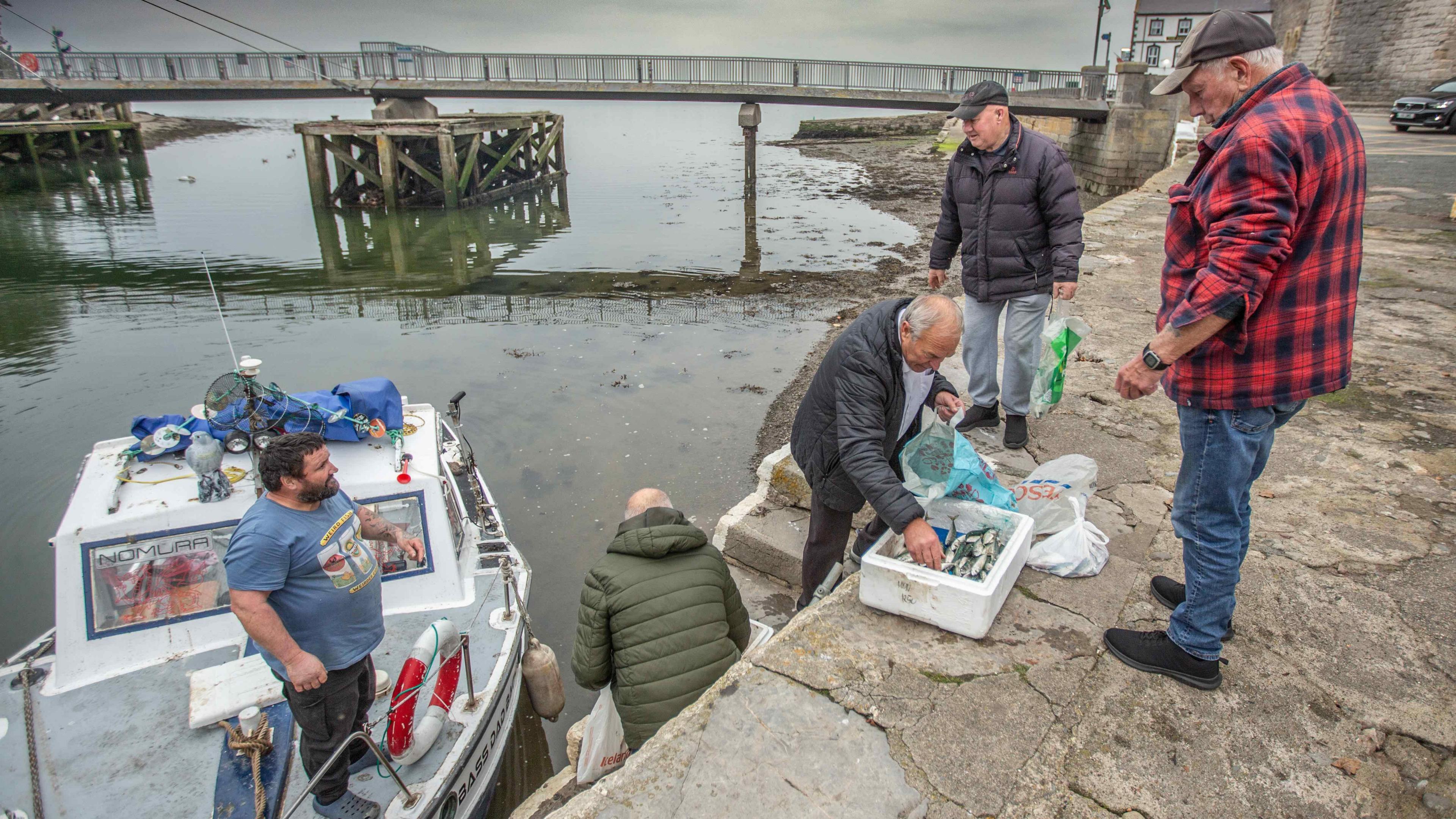 Cofis lleol yn helpu eu hunain i bysgod