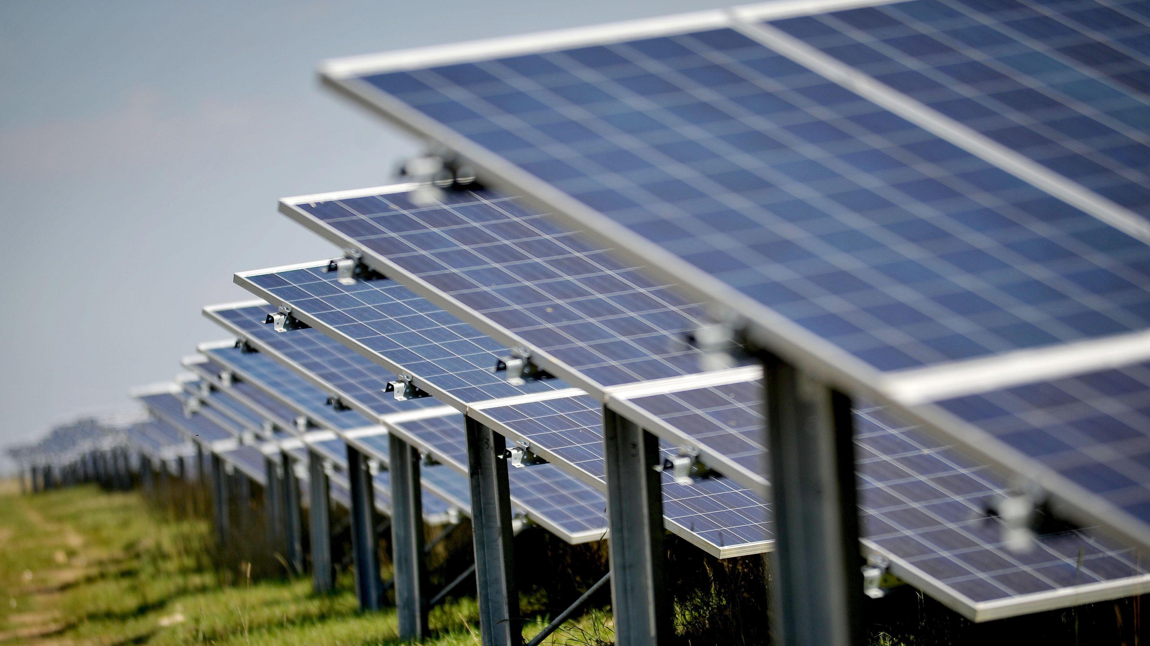 A long row of solar panels on a field, angled towards the sun