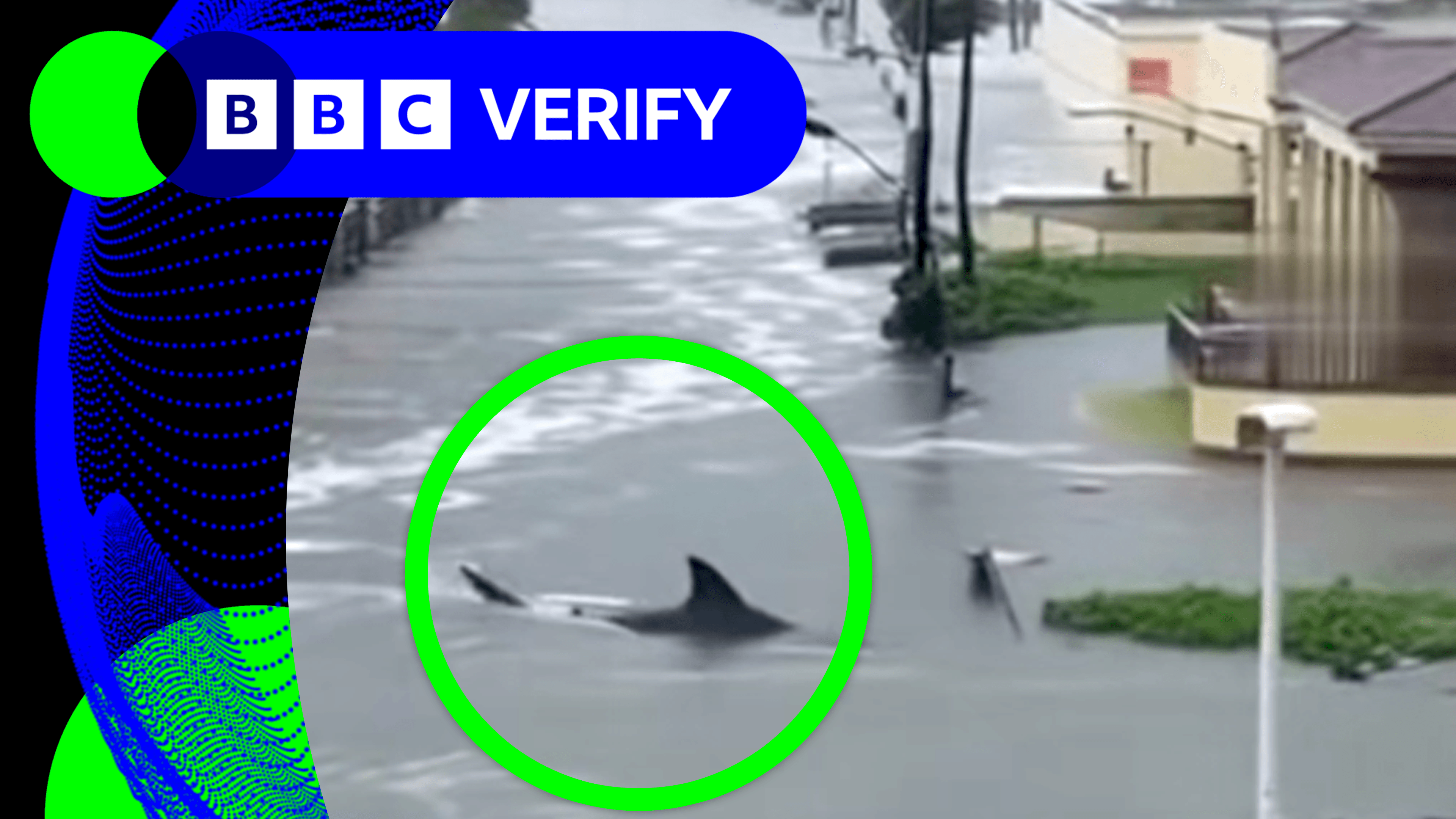 Screenshot of AI video of a shark swimming in floodwater near a house