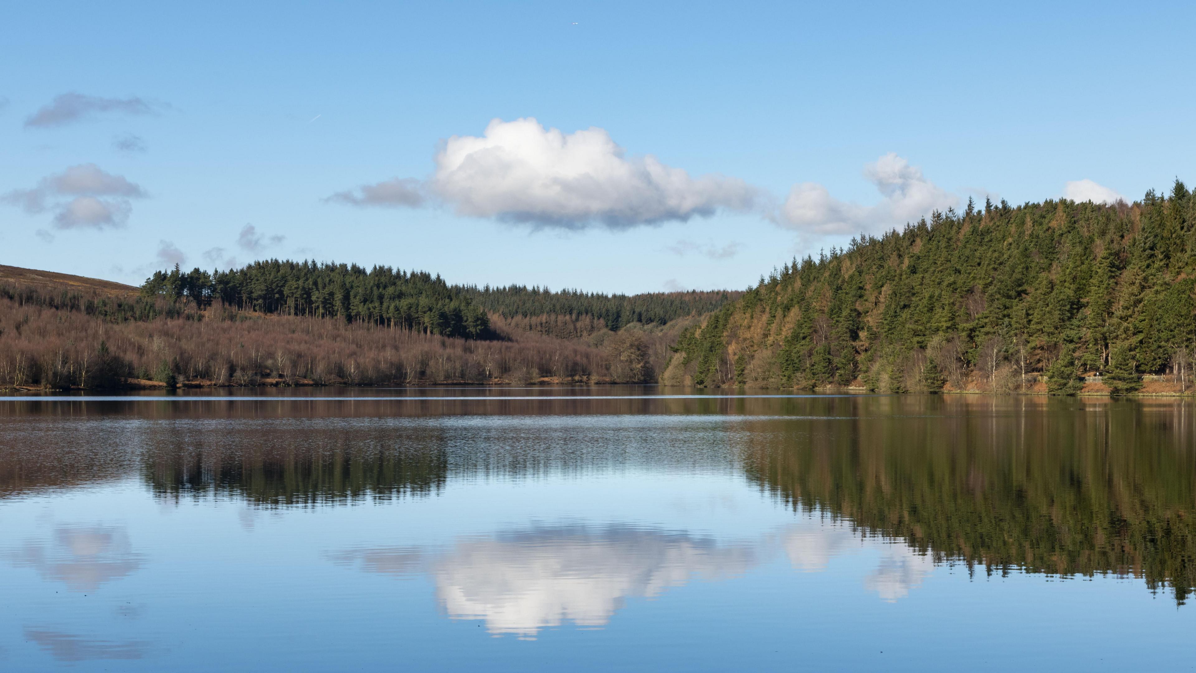 A reservoir, pictured from close to the surface of the water. Some trees are at the far side of the water. It is a clear day.