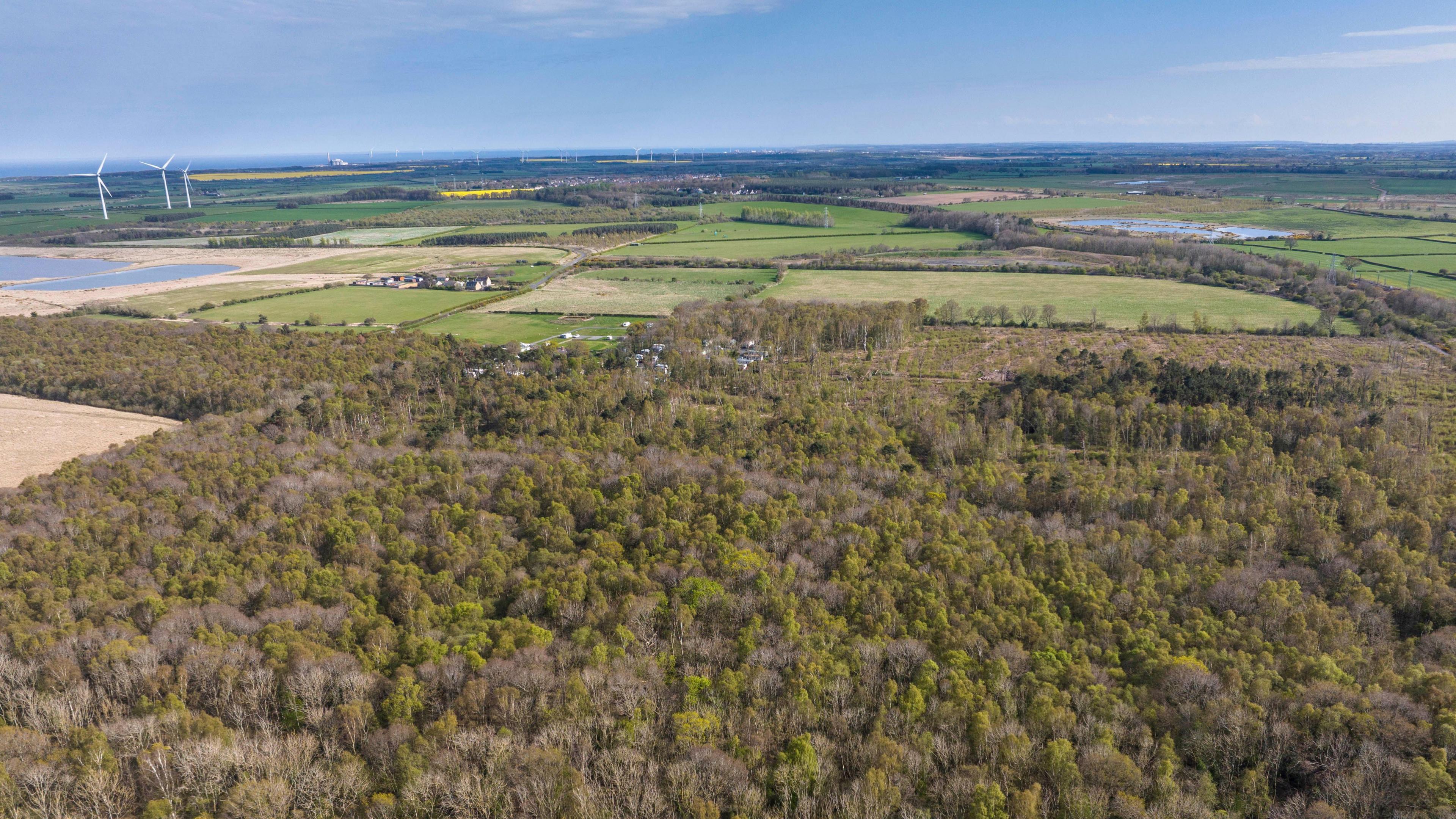 An aerial view of East Chevington reserve which has a woodland in the foreground of the picture and lakes in the distance. 