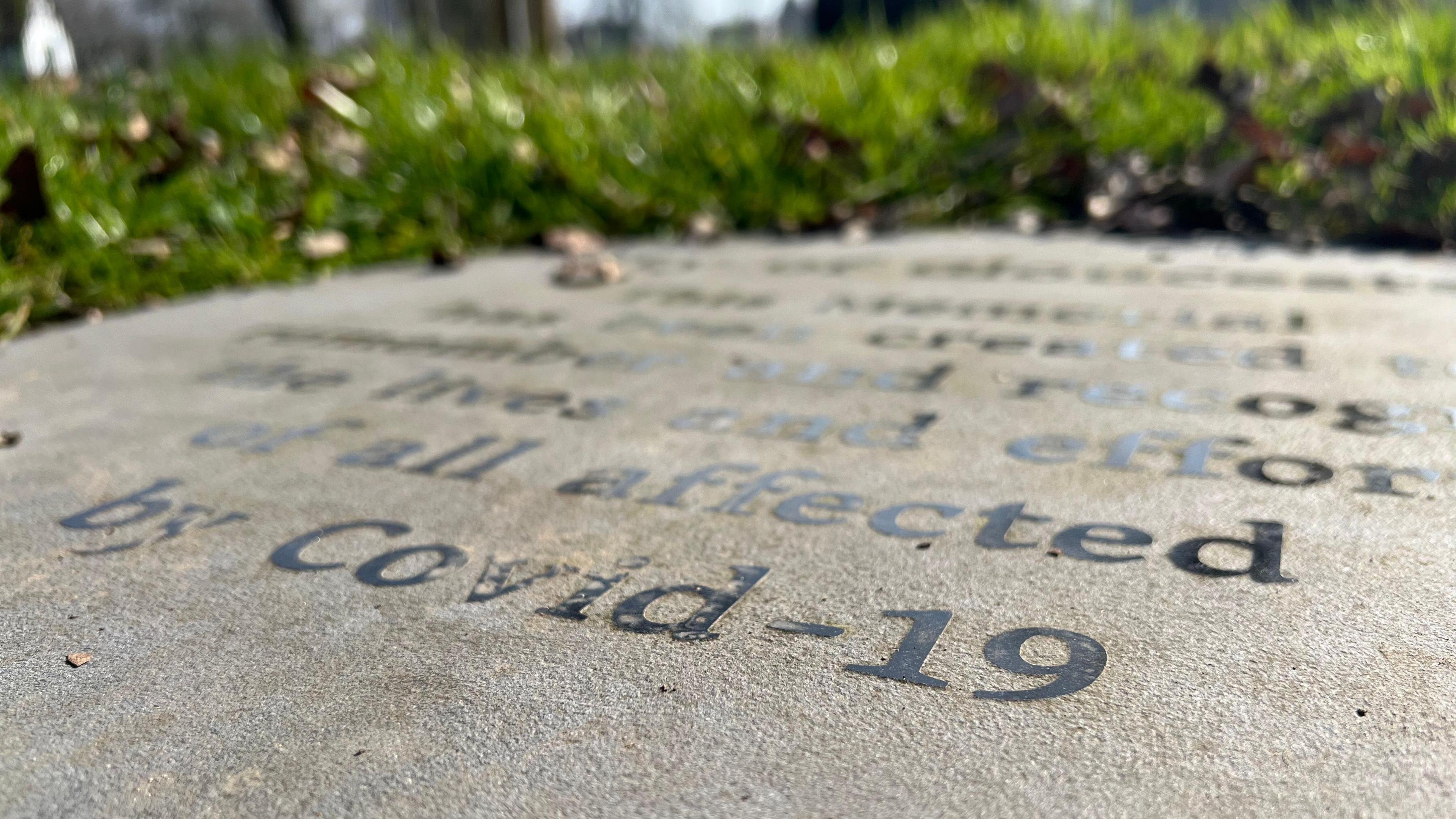 Stone with words like "Covid-19" written on it with a green hedge in the background.