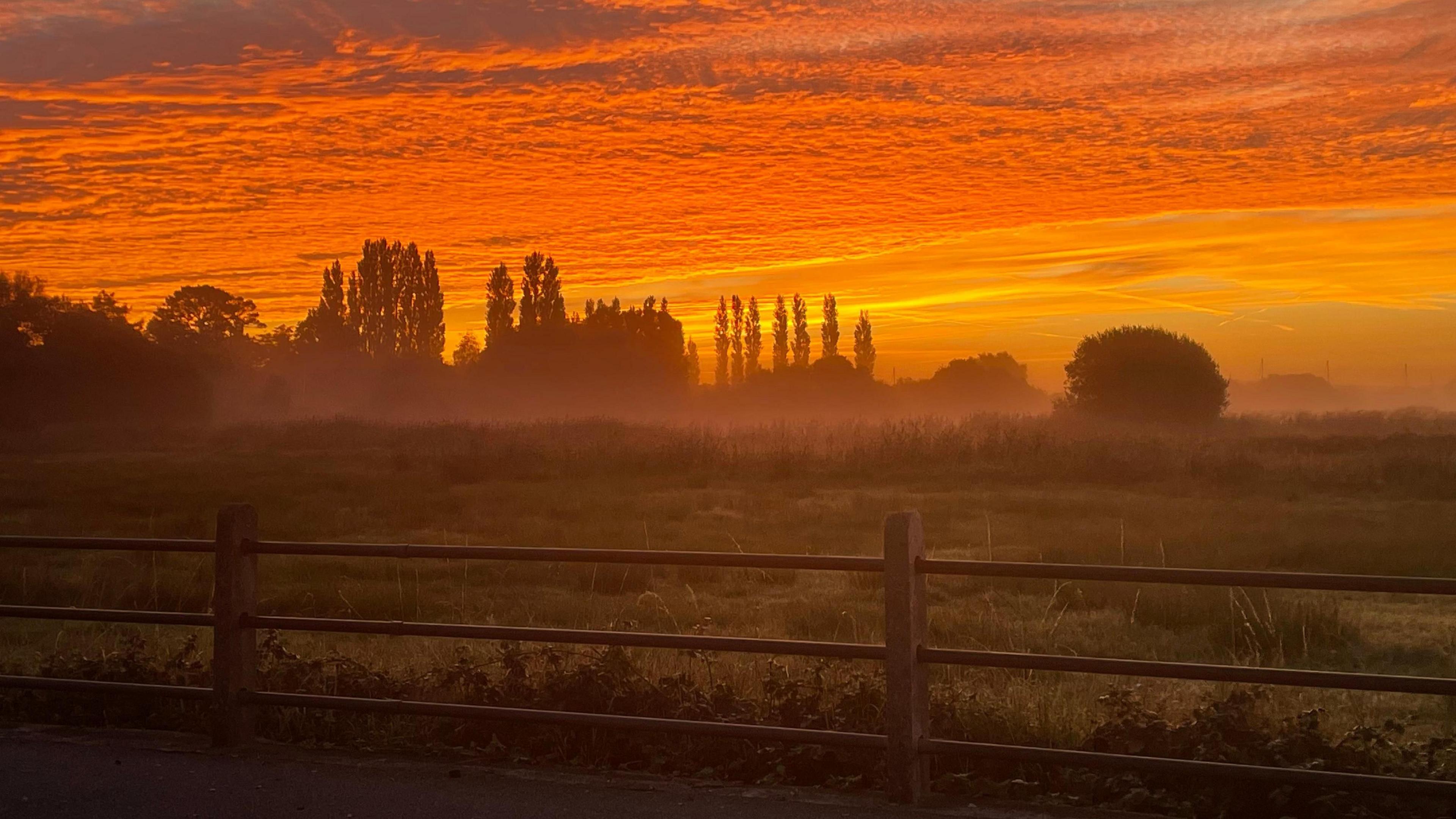 The sky is glowing gold over a field near Wareham in Dorset. On the horizon there are trees in silhouette and there is a light mist over the field. In the foreground a fence runs across the field. The golden sky has rippled clouds.