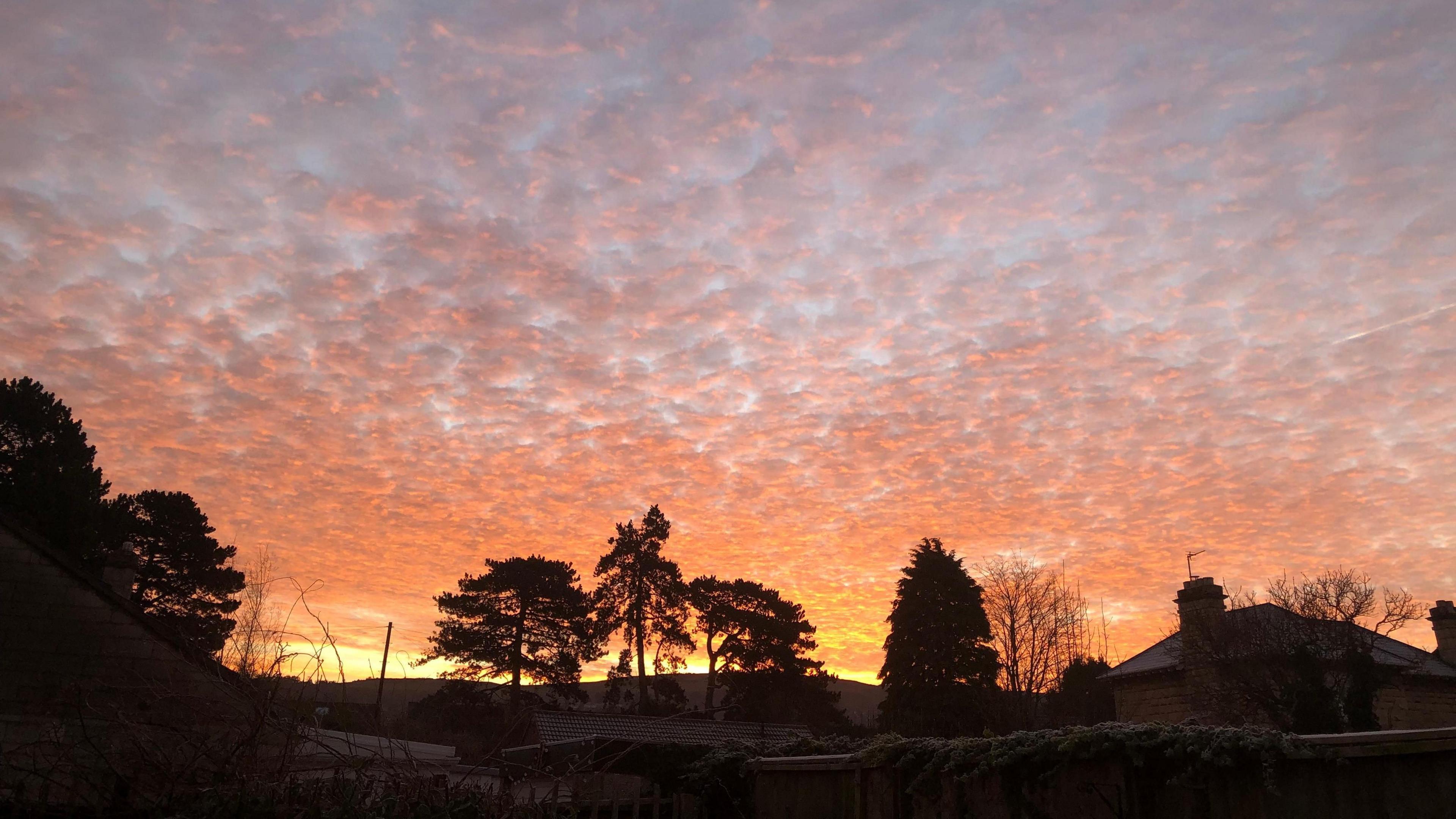 A orange sky with a shadow of the trees and clouds illuminated by the rising sun in Woodmancote 