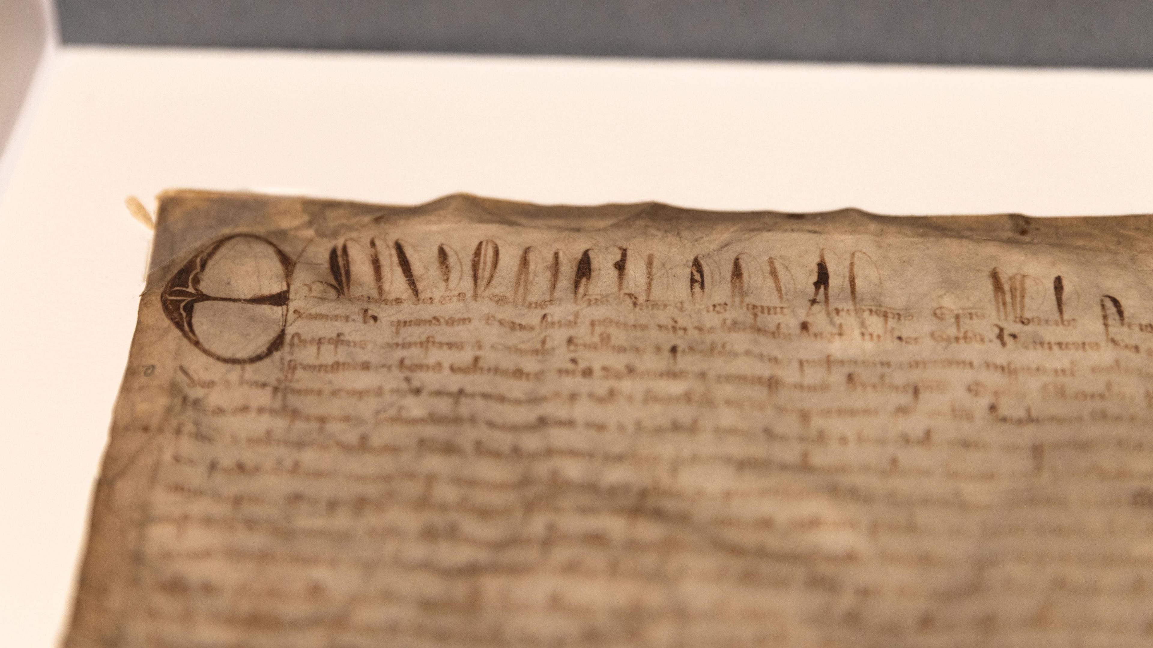 A close-up image of Harvard's Magna Carta showing the style of writing from 1300.