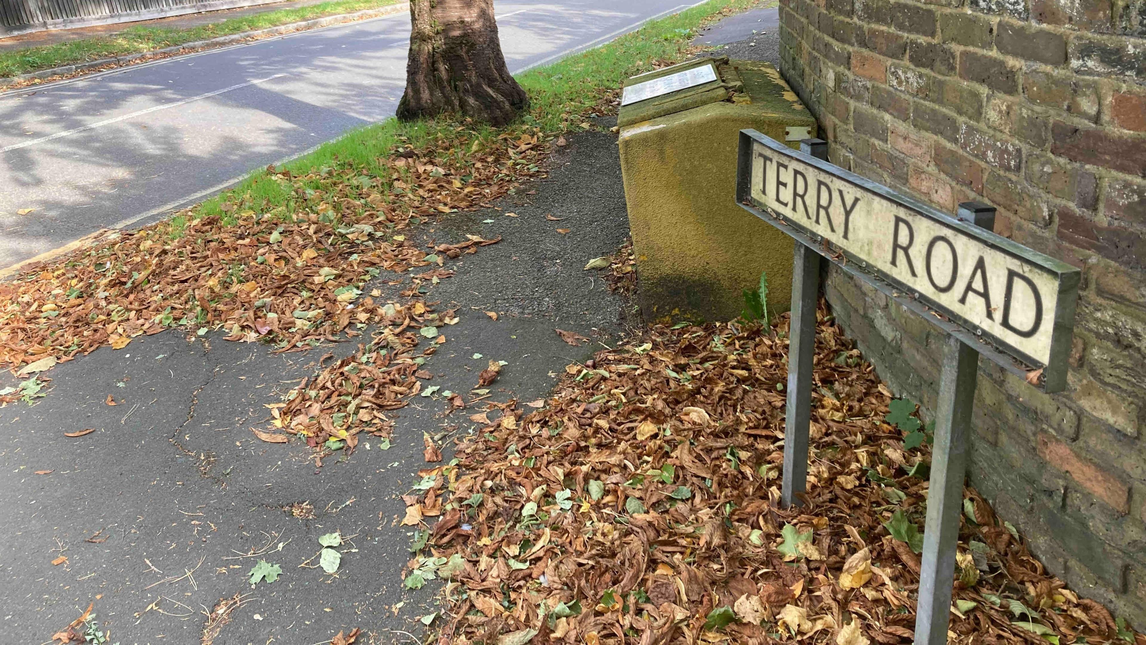 A road sign for "Terry Road" with autumnal brown leaves laying around it.