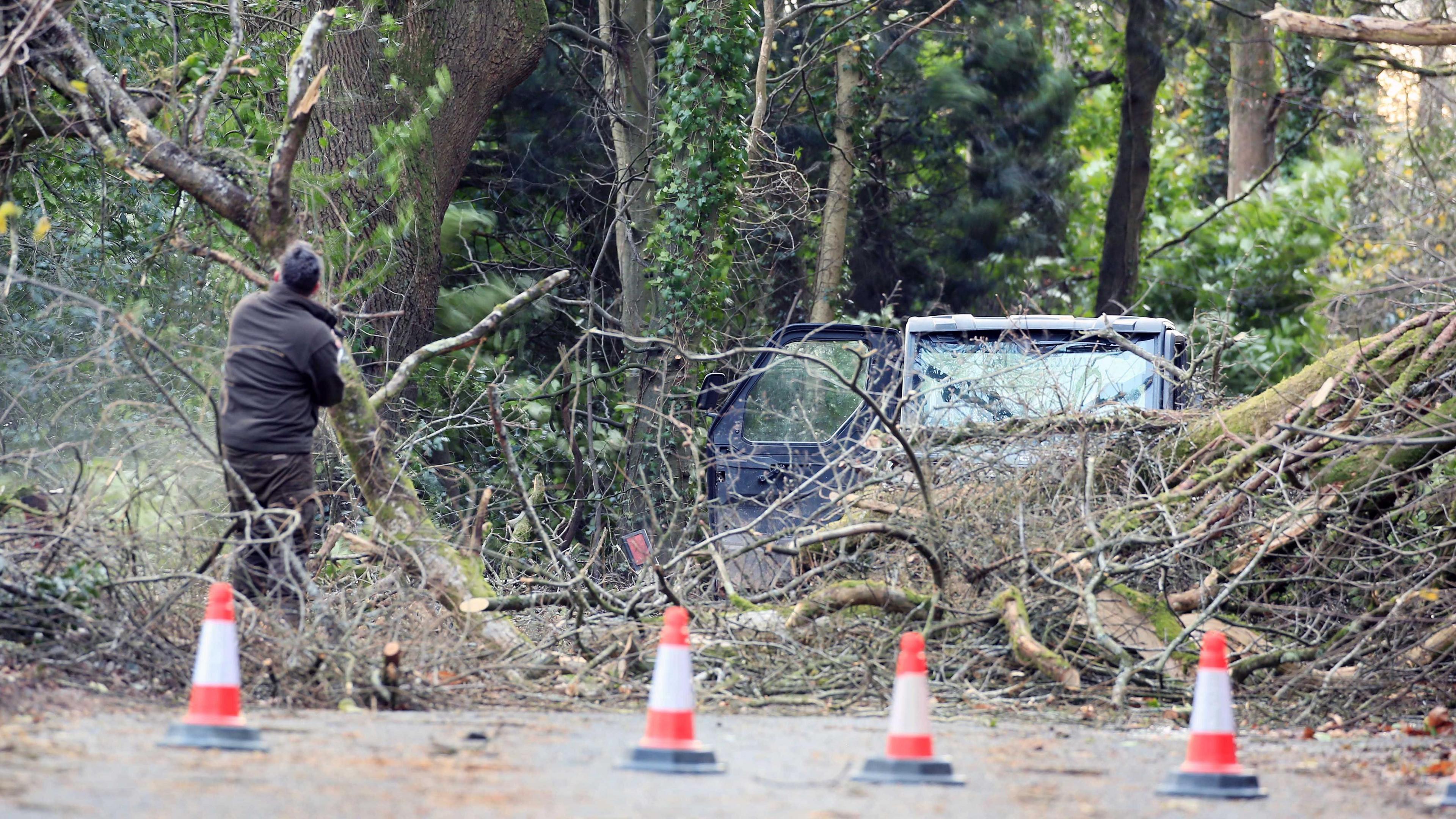 Trees are blocking a road. A car is parked on the other side of the trees and someone is trying to clear them.