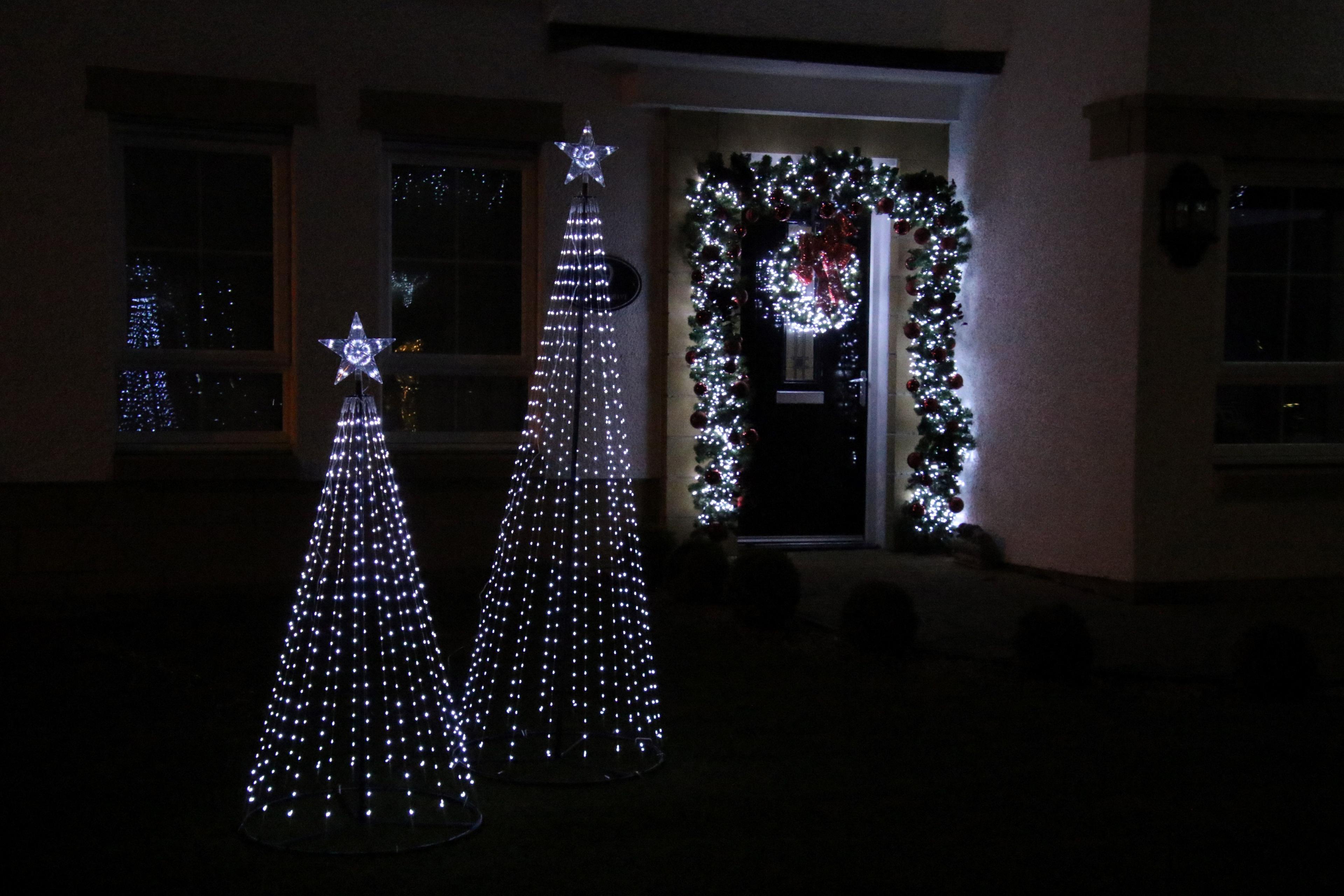 White tree lights in garden