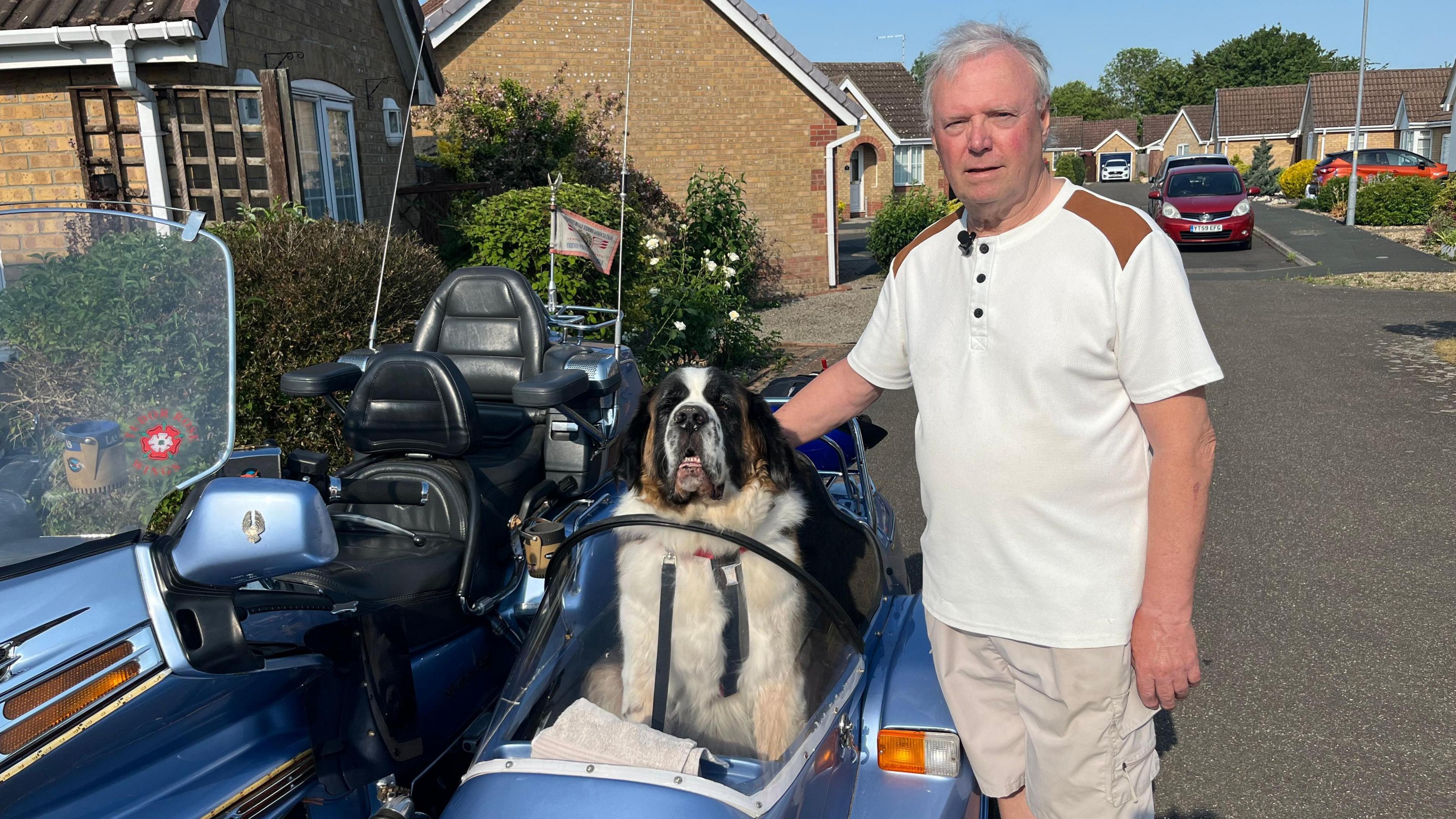 St Bernard Louis in side car with owner Alan stood by 