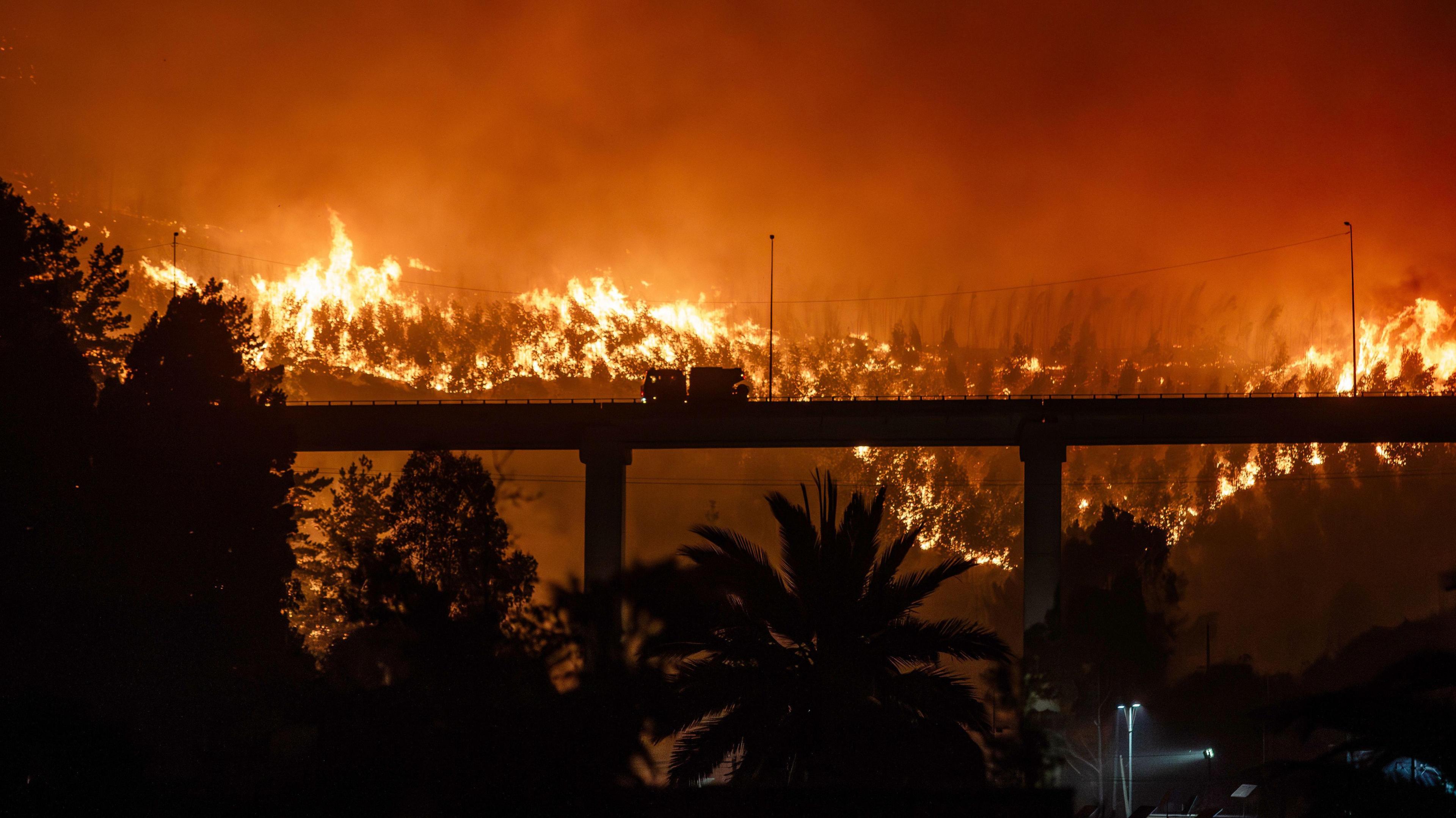 A forest fire burns in Penco, Chile.