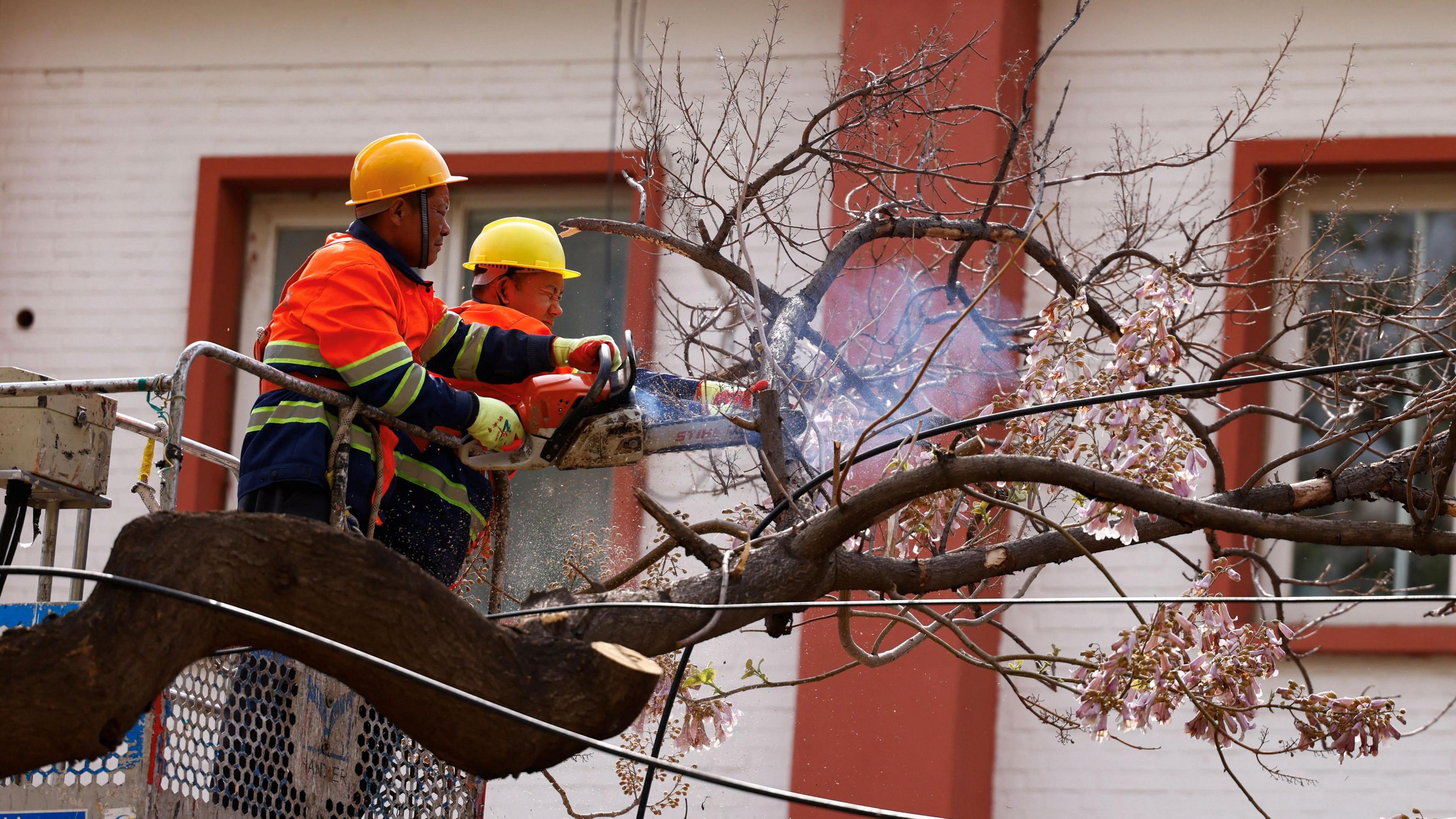Emergency team members cut off tree branches following strong winds, in Beijing