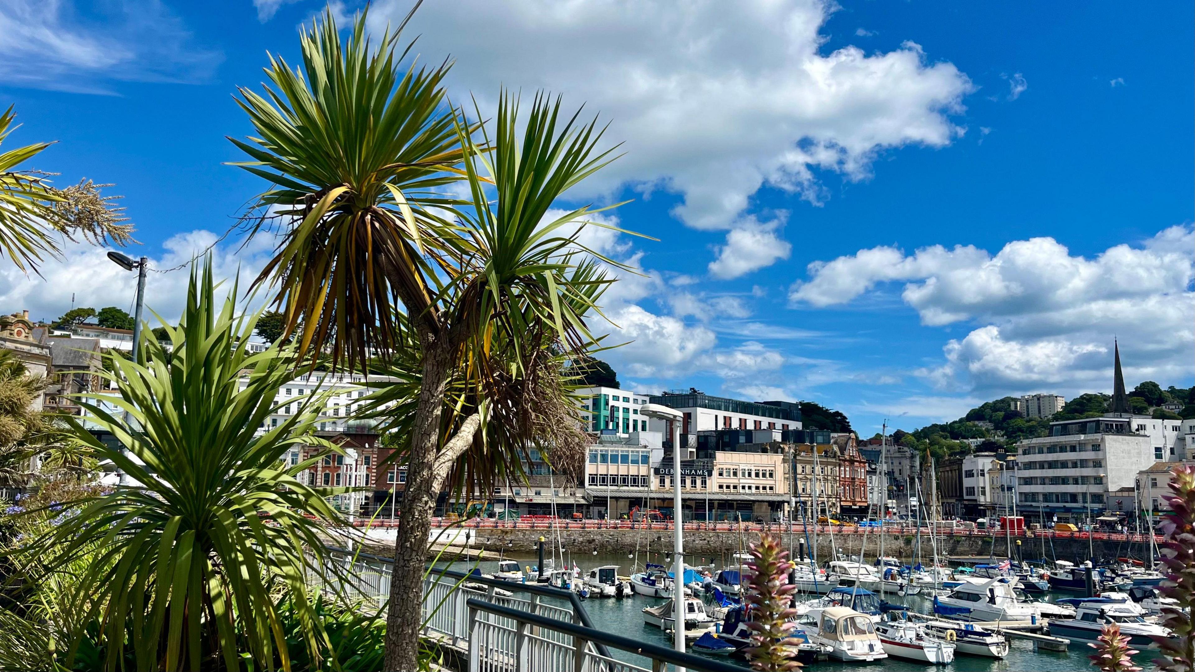 The seafront at Torquay. There are many boats docked in the water, with shops and trees surrounding the area.