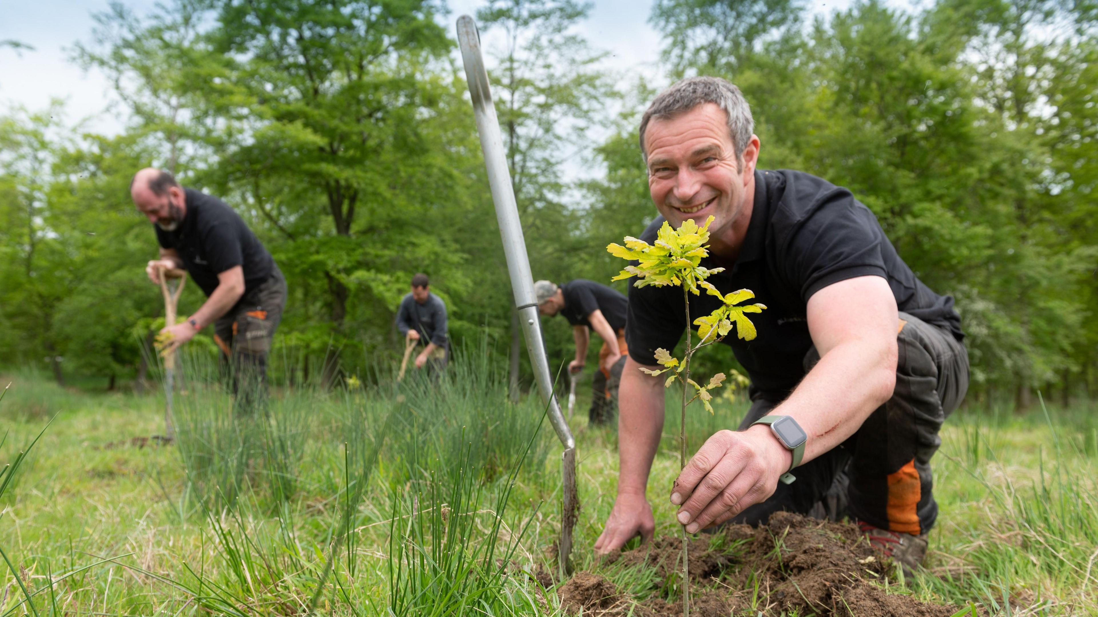 Head forester Nick Baimbridge and his team planting oak saplings across the  Estate. Mr Baimbridge is smiling for the camera and holding one of the saplings. It's a pleasant day.