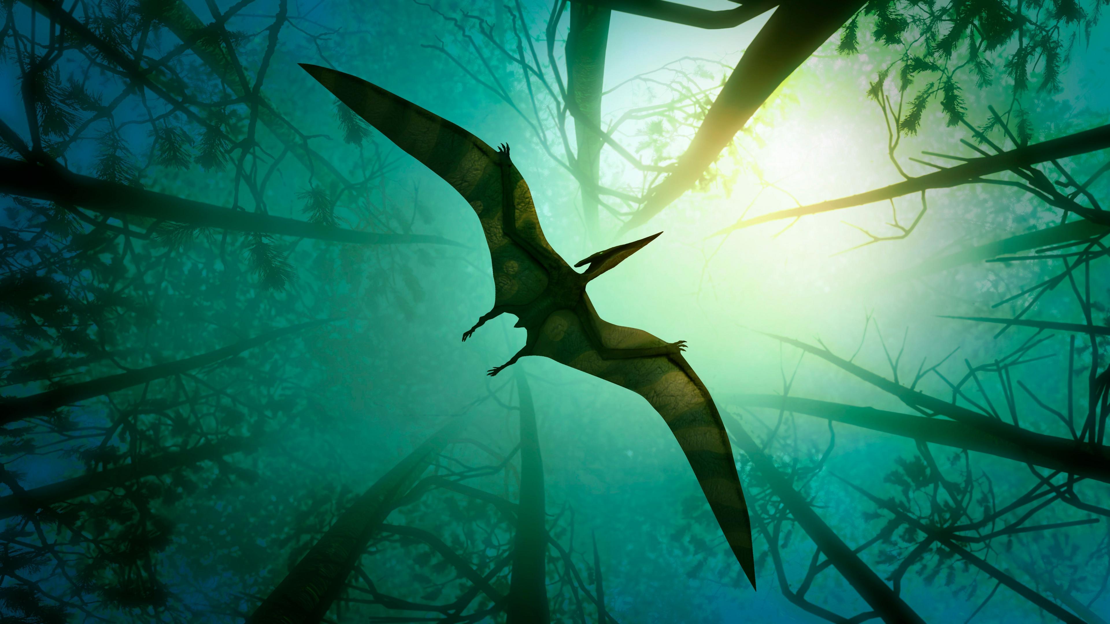 Artists impression of a pterosaur flying through the trees