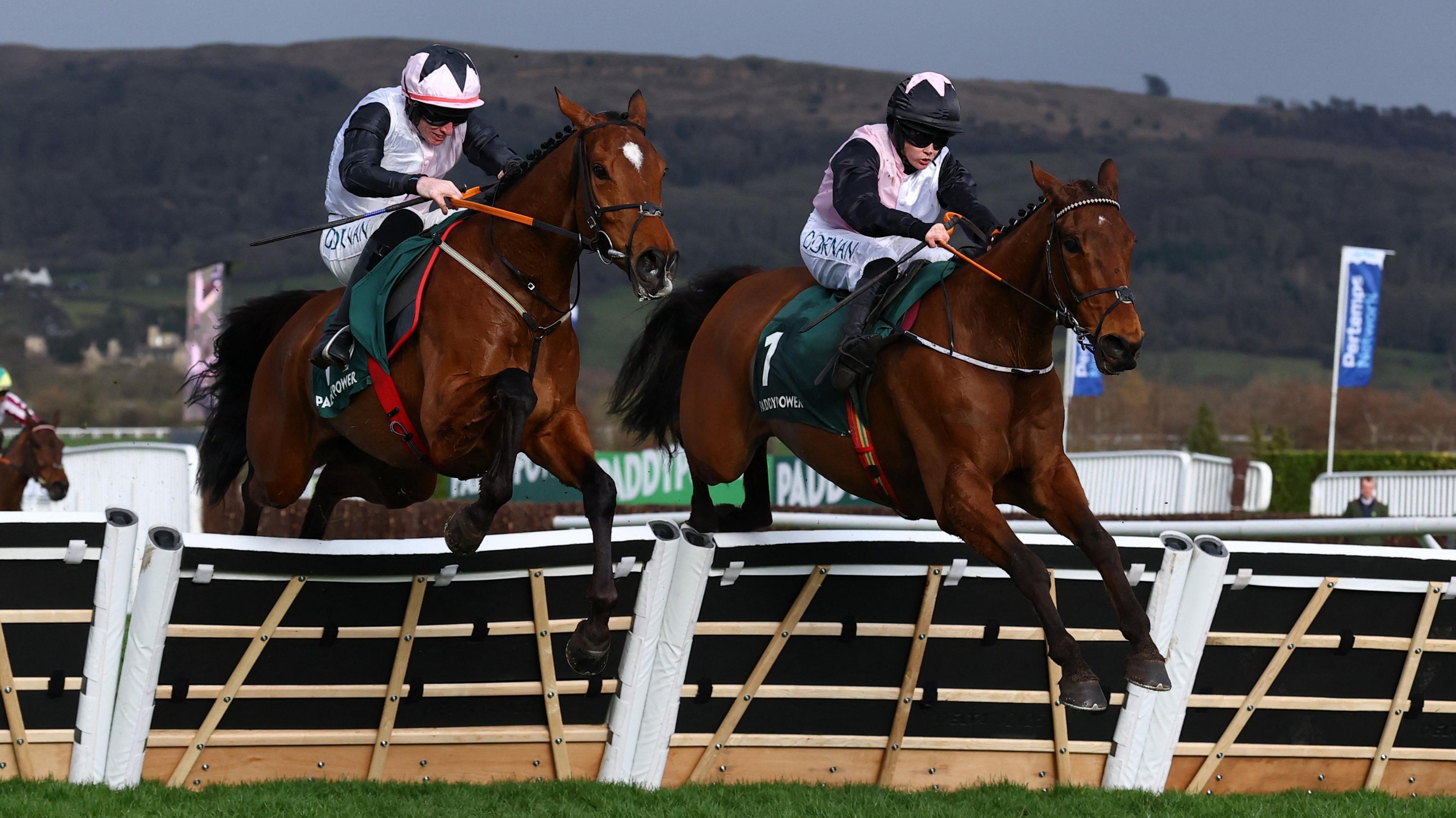 Bob Olinger beats Teahupoo in the Stayers' Hurdle at Cheltenham