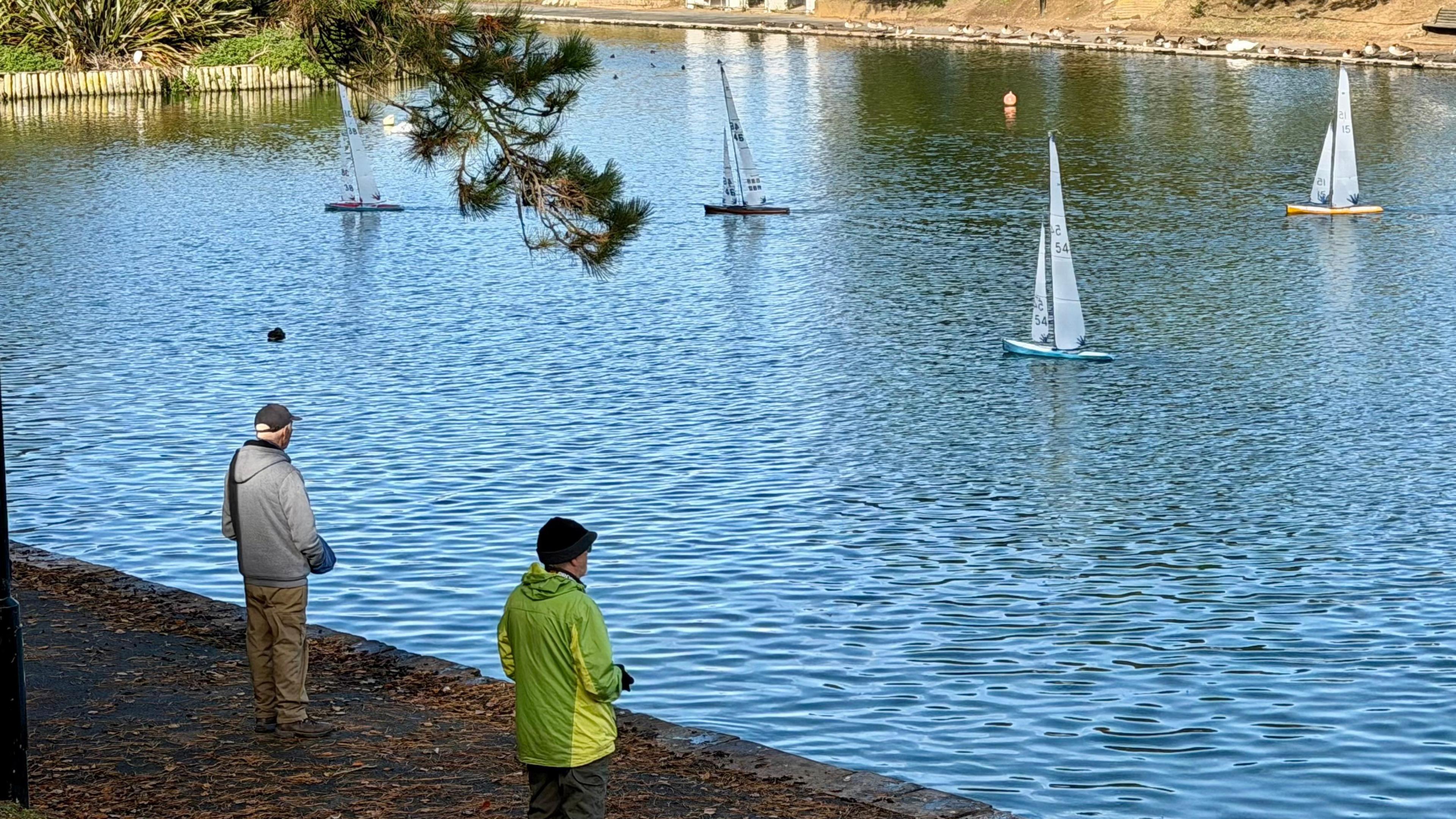 Four model yachts sail on a pond, watched by two men on the shore