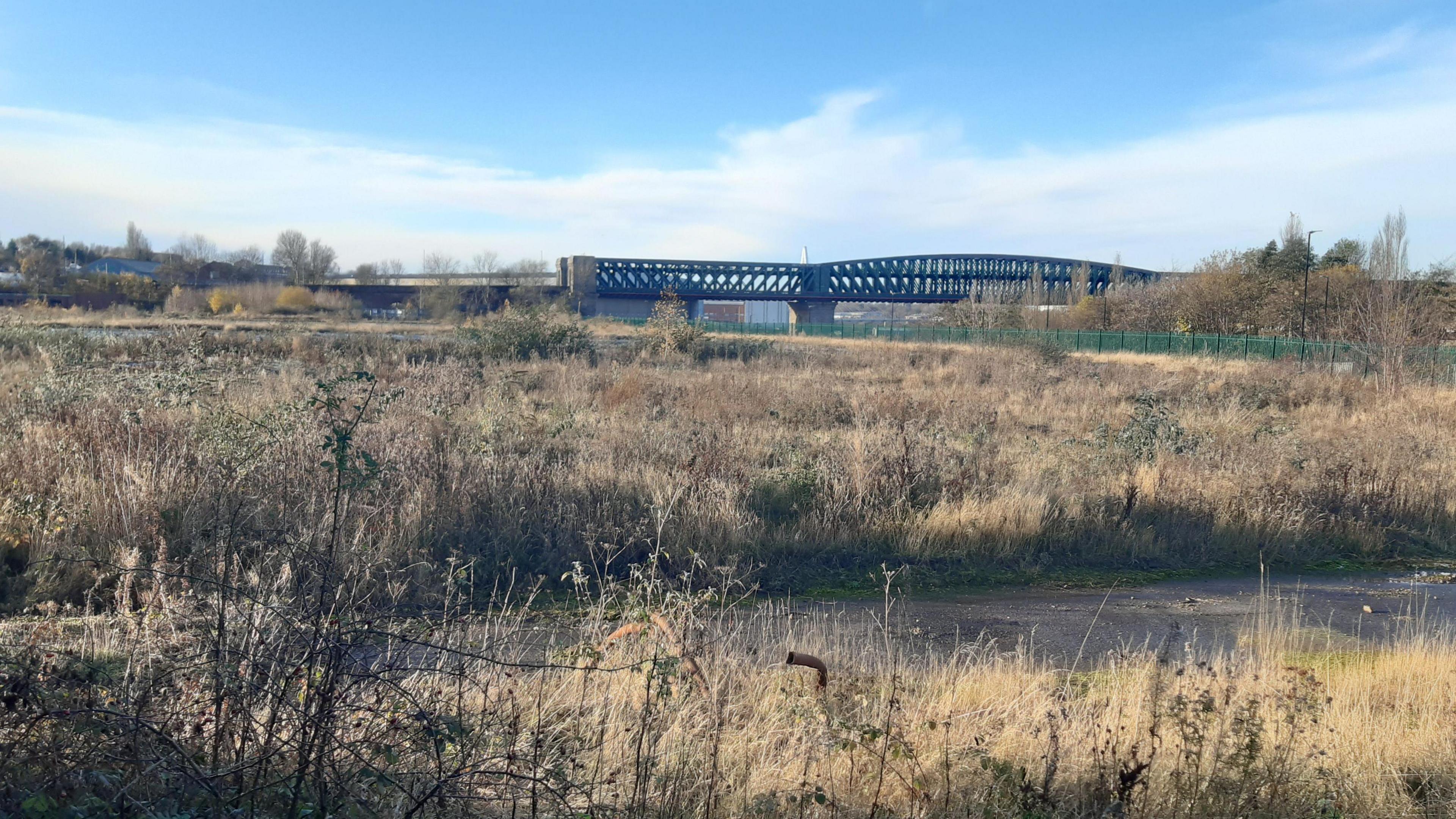 A river next to the development site. There is grassland on either side of the river. The Queen Alexandra Bridge can be seen in the background.