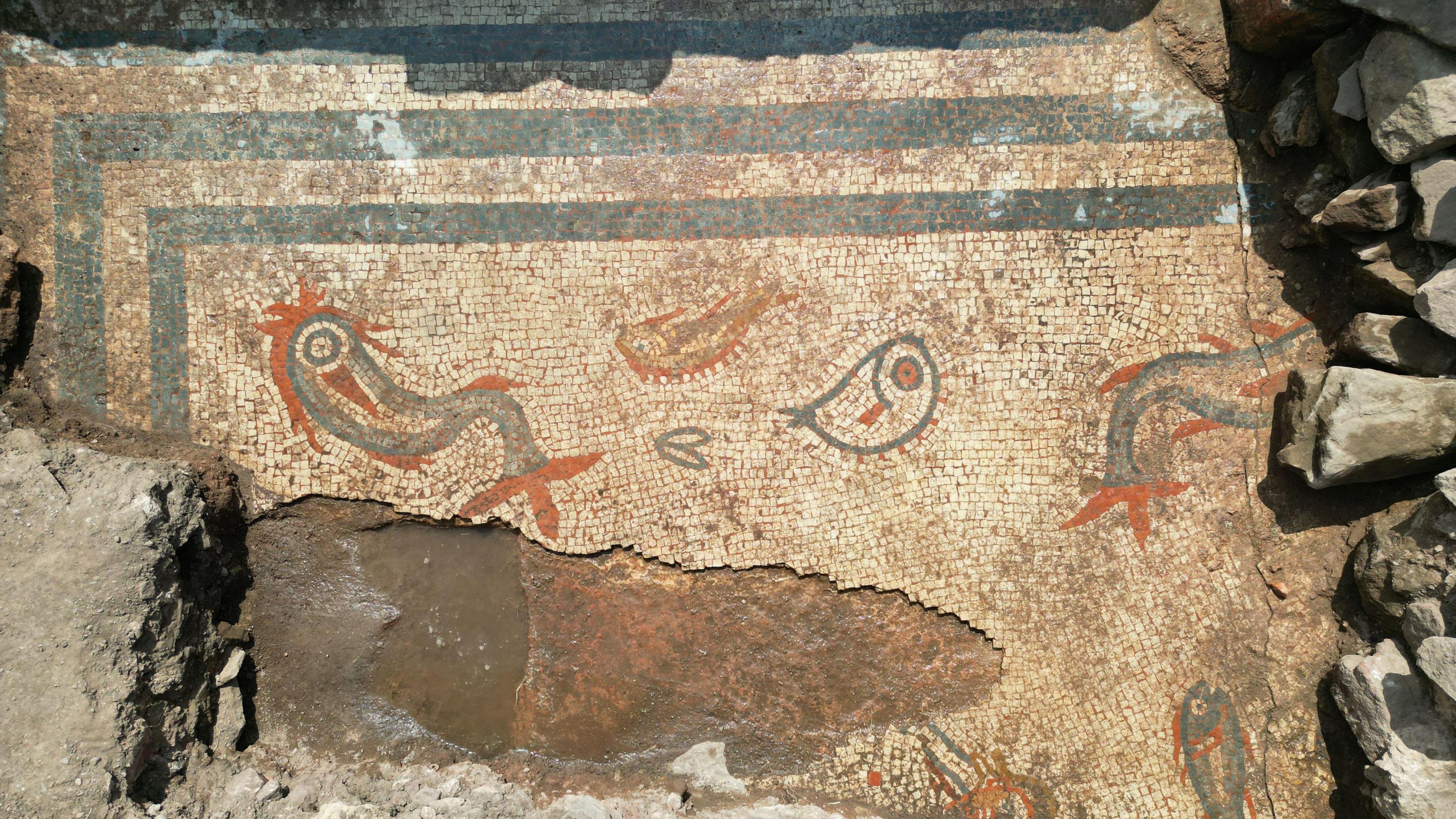 pictures shows a larger amount of the mosaic including a border and more fish on a plain background