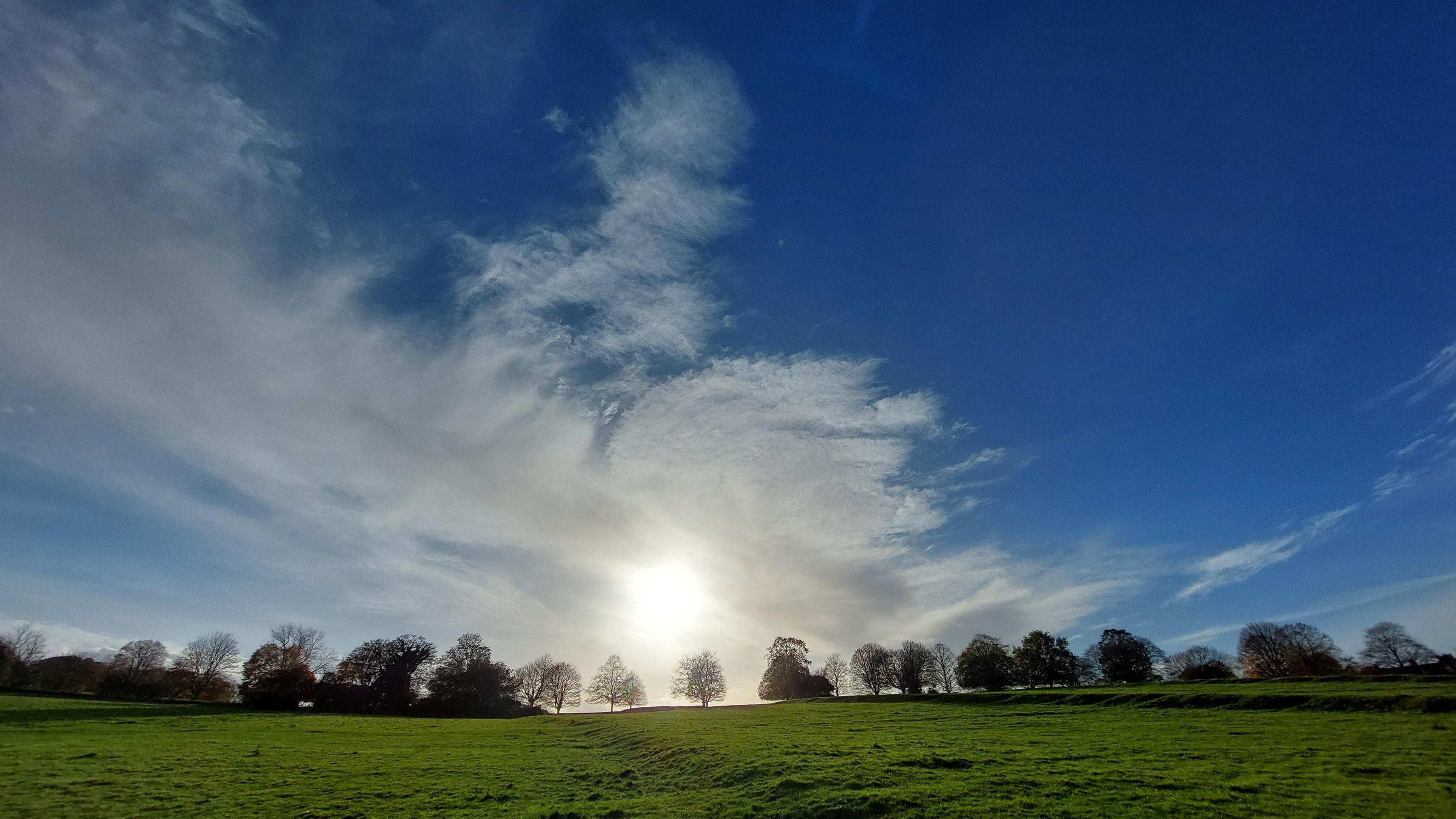 A row of trees at the end of a green field. The sky is blue, the sun shines through low clouds.