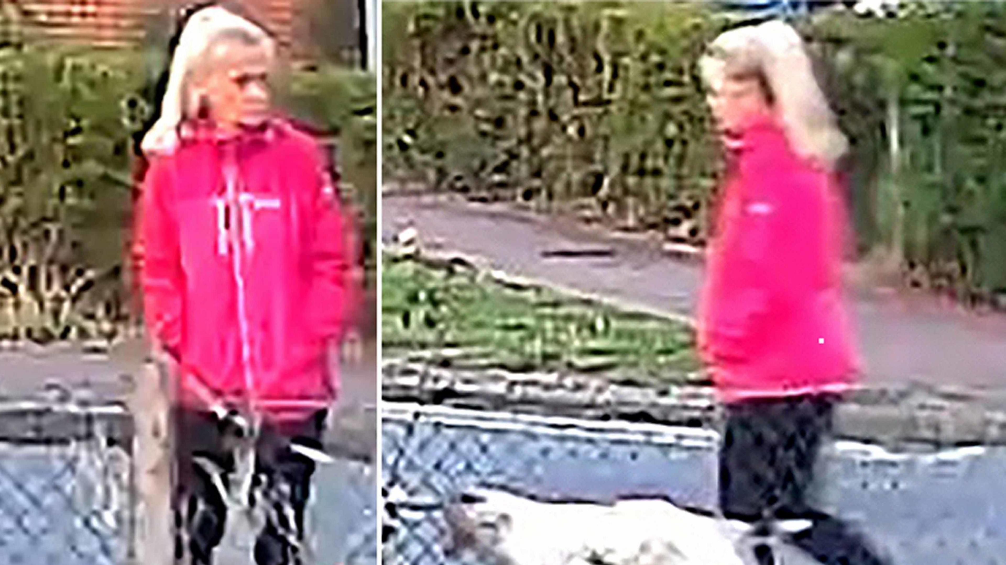 Blurry CCTV images show a woman, believed to be Anita Rose, wearing a pink waterproof jacket and dark trousers while walking a dog. 