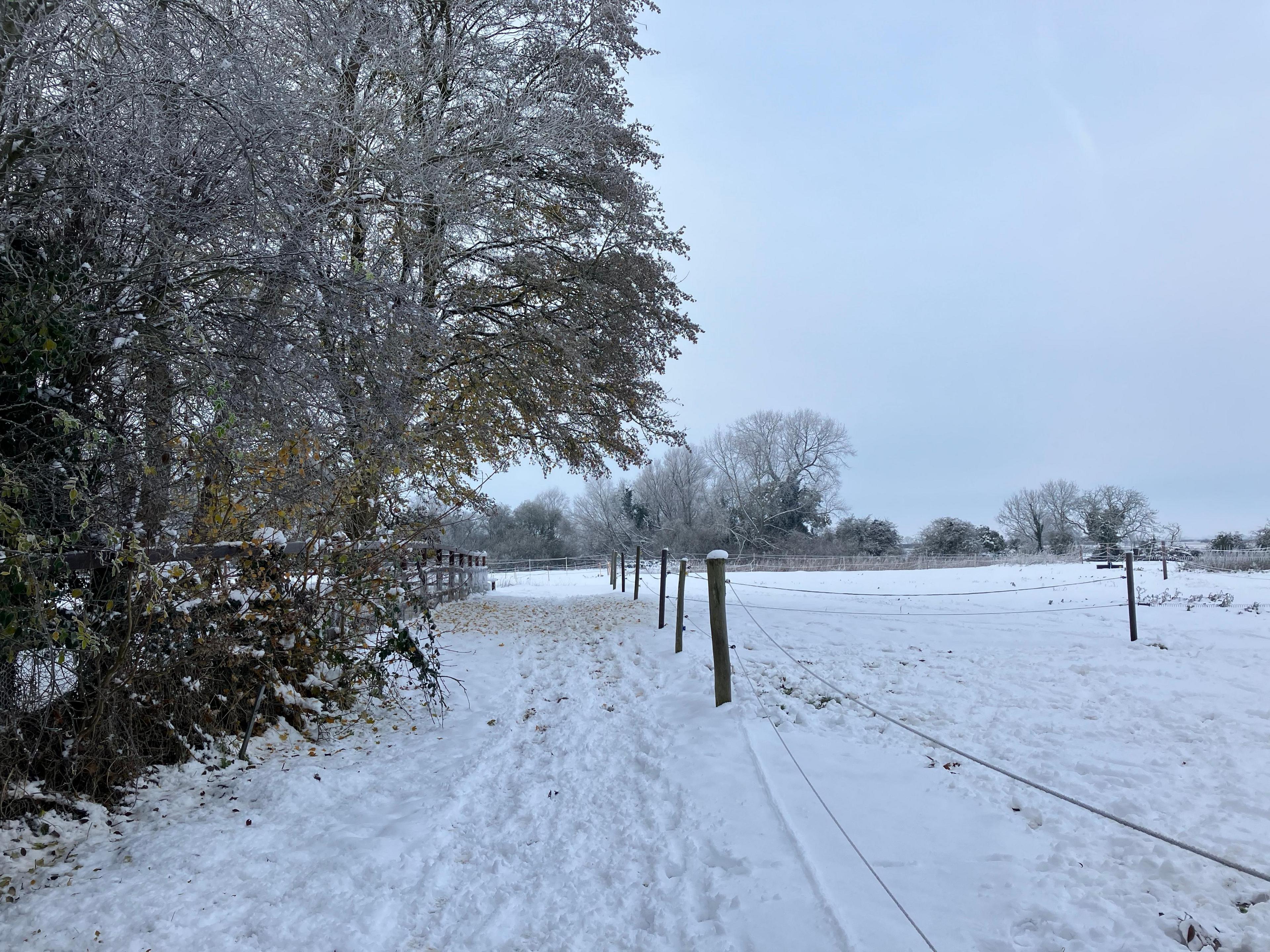 A wintery scene in Thriplow, Cambridgeshire