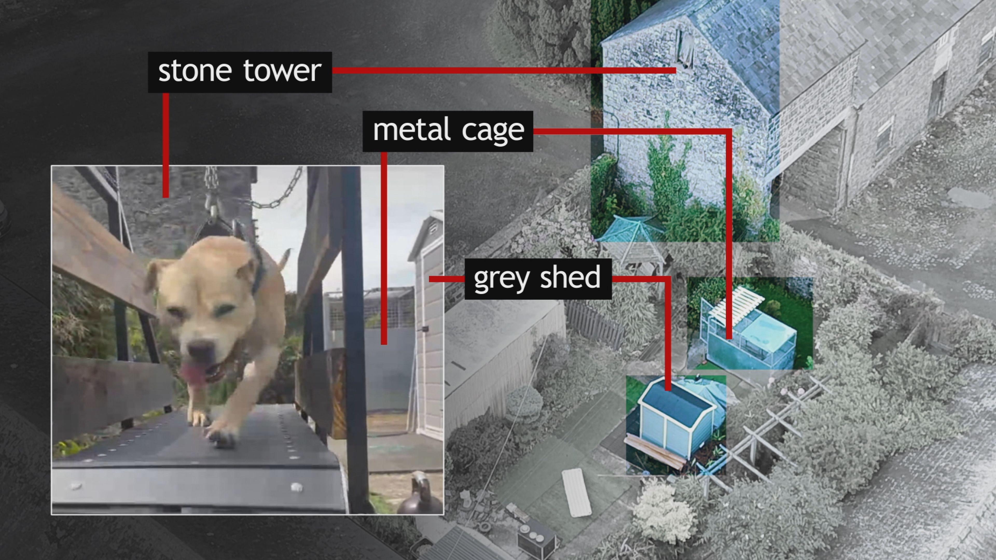 A composite image shows a dog running on a treadmill in a garden. Behind it is a larger image of the garden, with arrows pointing to the matching features, such as a large stone wall, metal cages and a grey shed. 