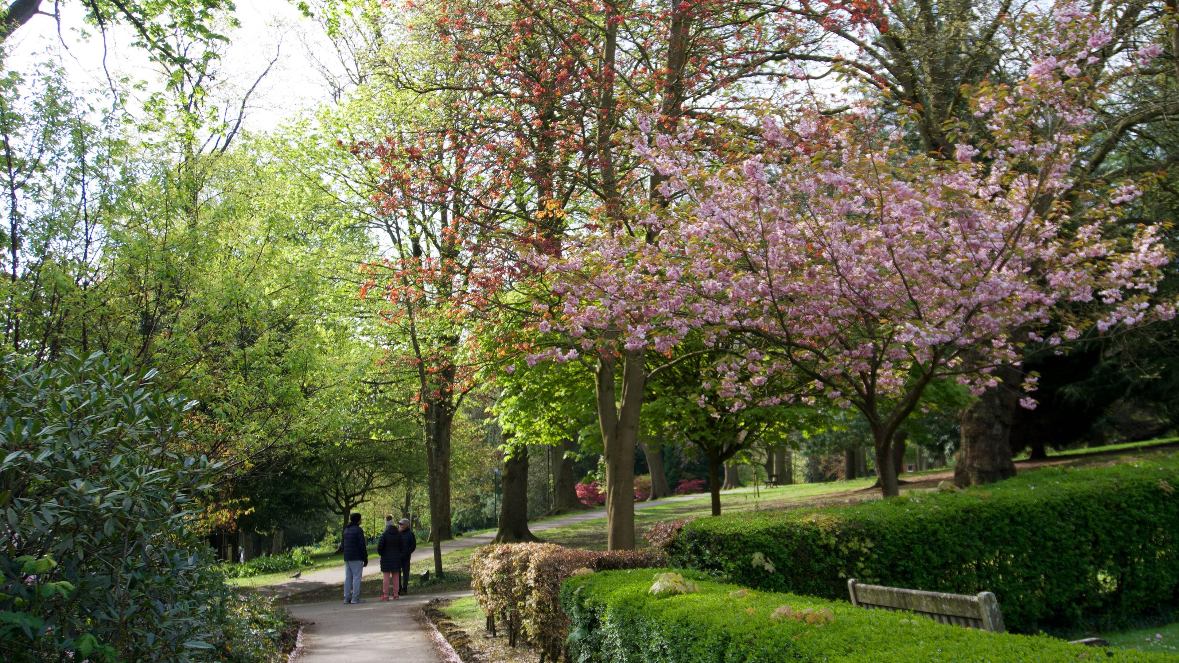 Walsall Arboretum