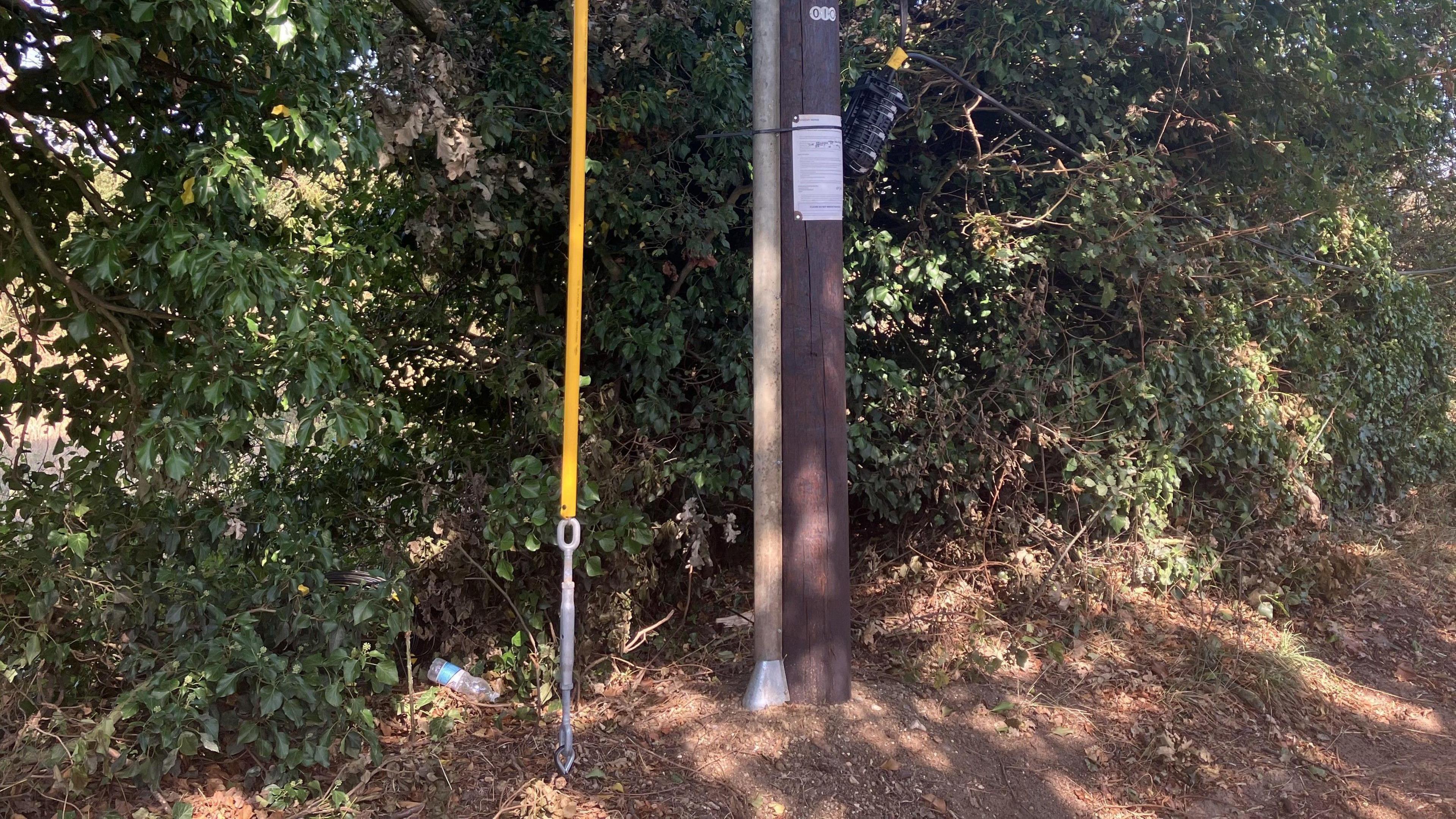 A new telephone pole has been erected beside a country lane bolstered by a  yellow cable fixed to the ground with a metal attachment