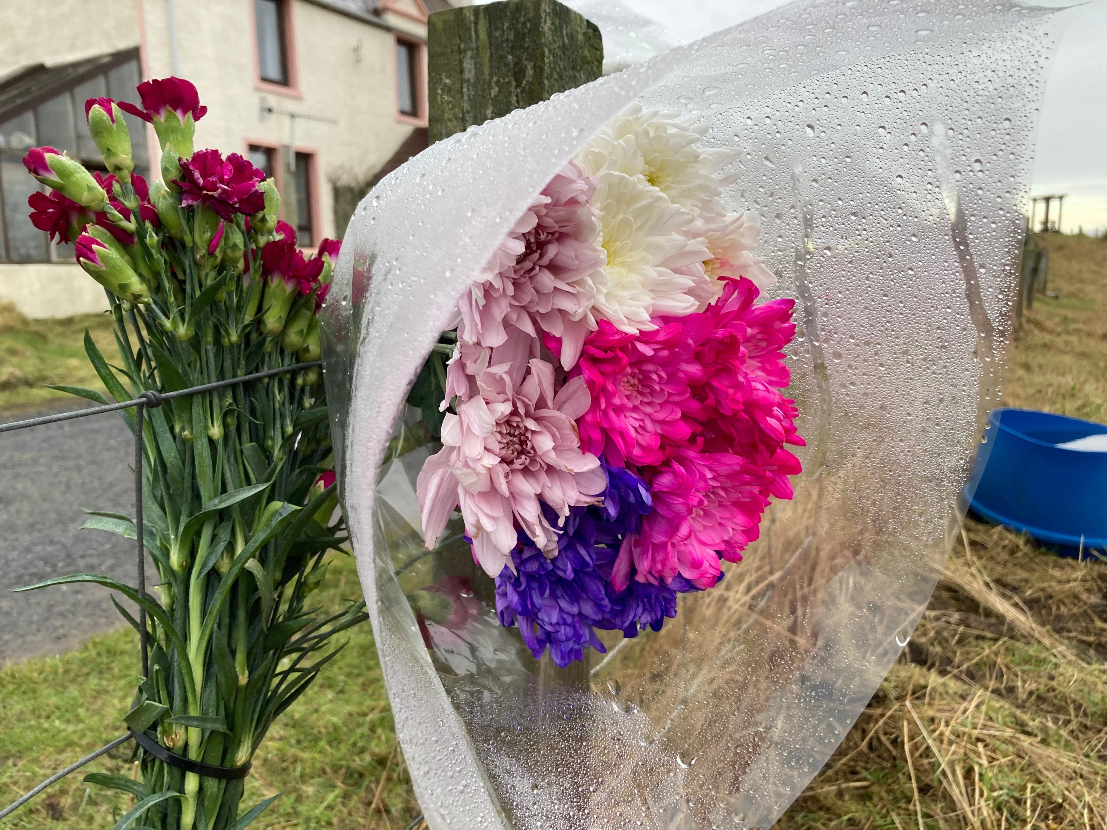 Pink and purple flowers tied to a fence