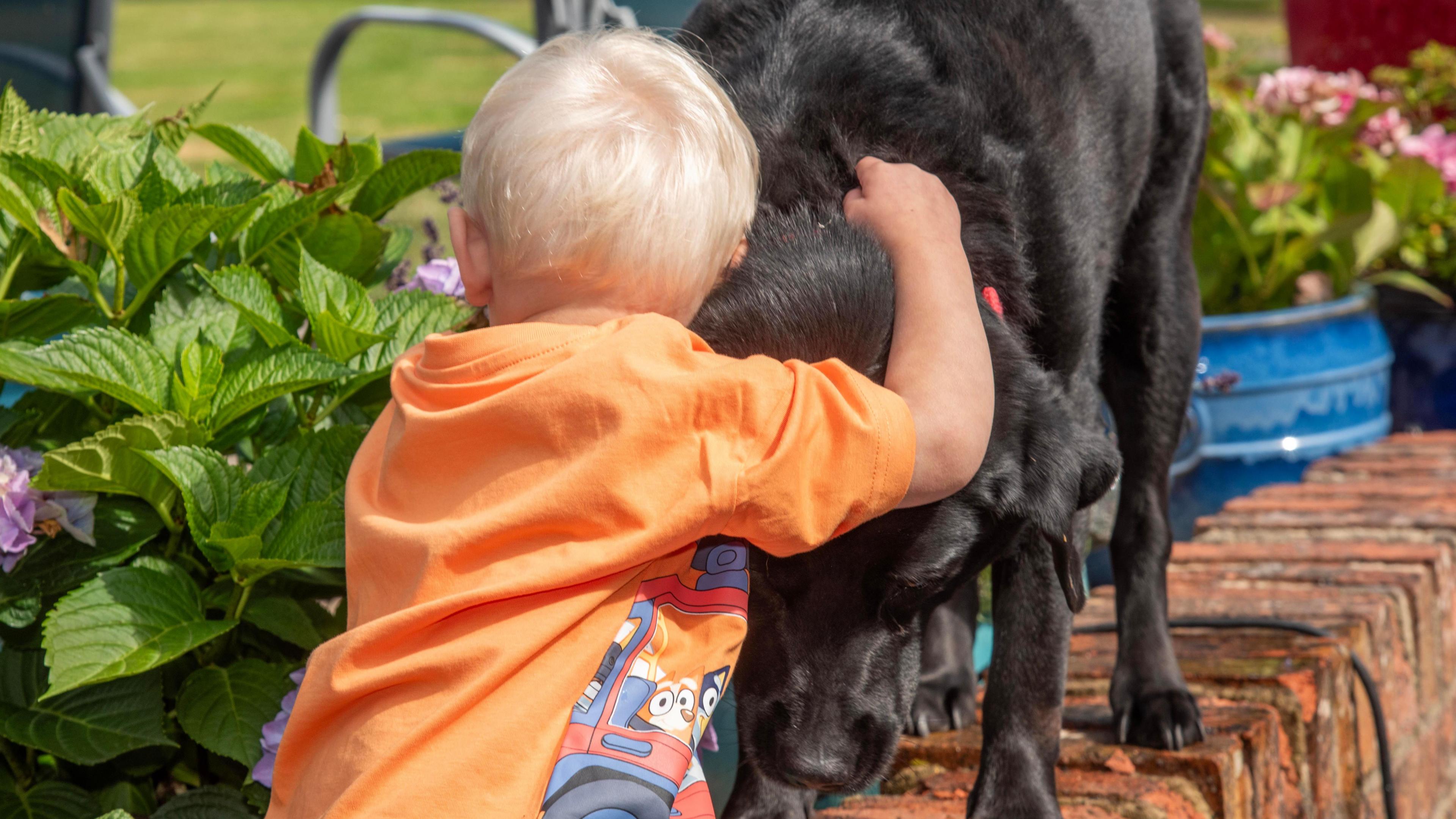 Archie hugging a black labrador