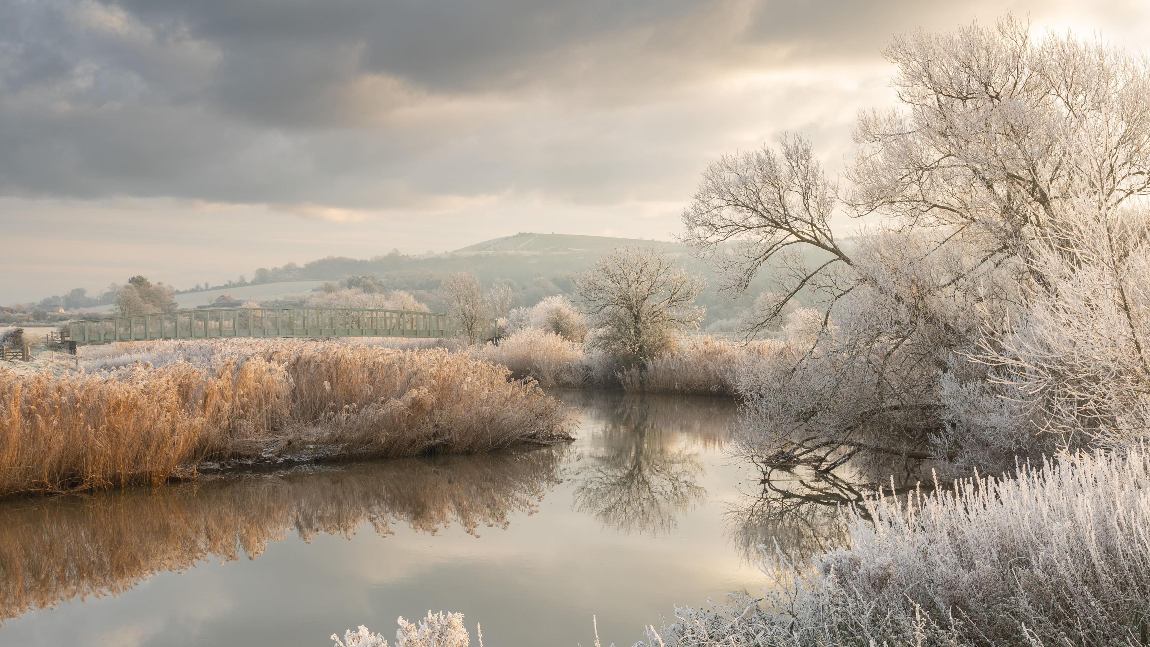 A river with frost-covered trees, grass and bushes around it.