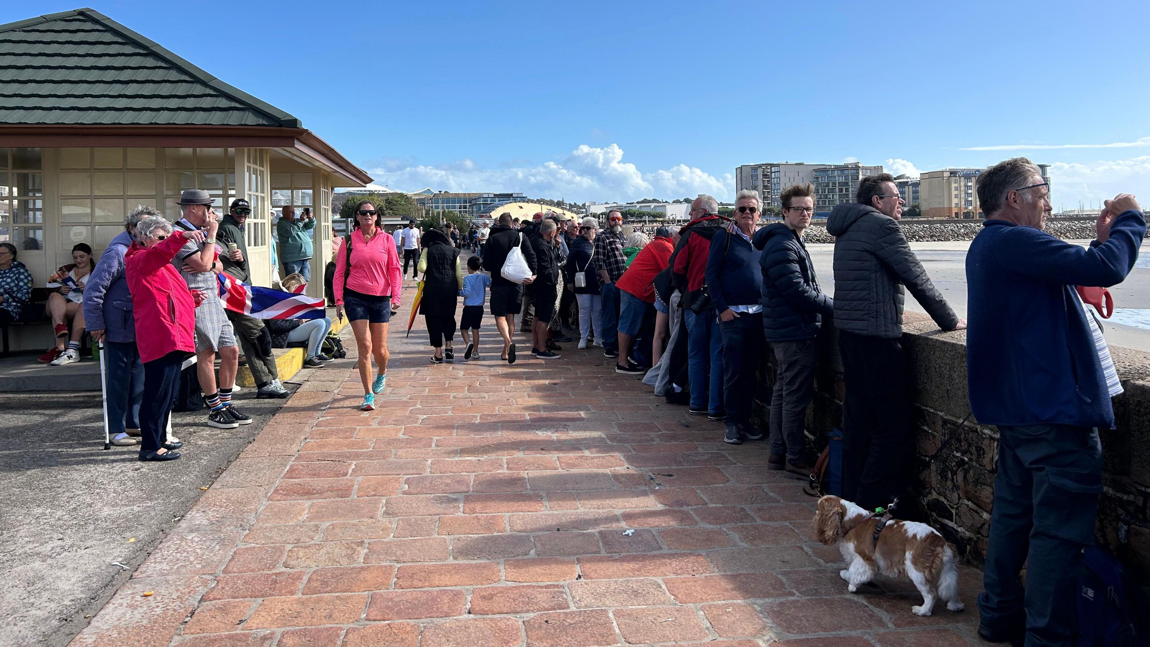 A crowd of people look out over a beach, with a stone-paved promenade behind them. A dog looks in the opposite direction to the planes.