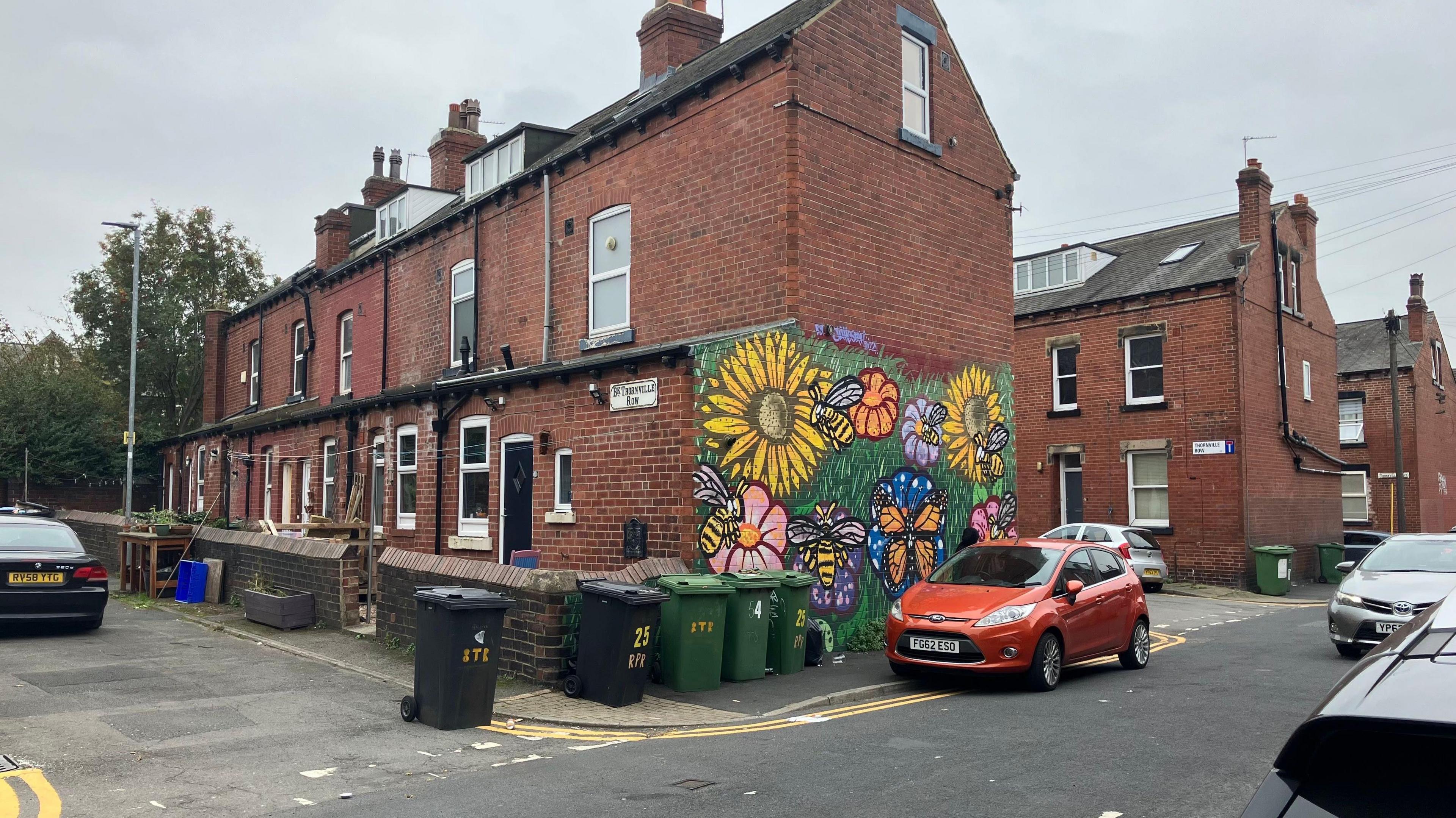 A row of maroon terraced houses, with an orange car in the foreground. On the wall facing the main street is a mural featuring flowers and pollinating insects. There are also a few bins lining the streets.