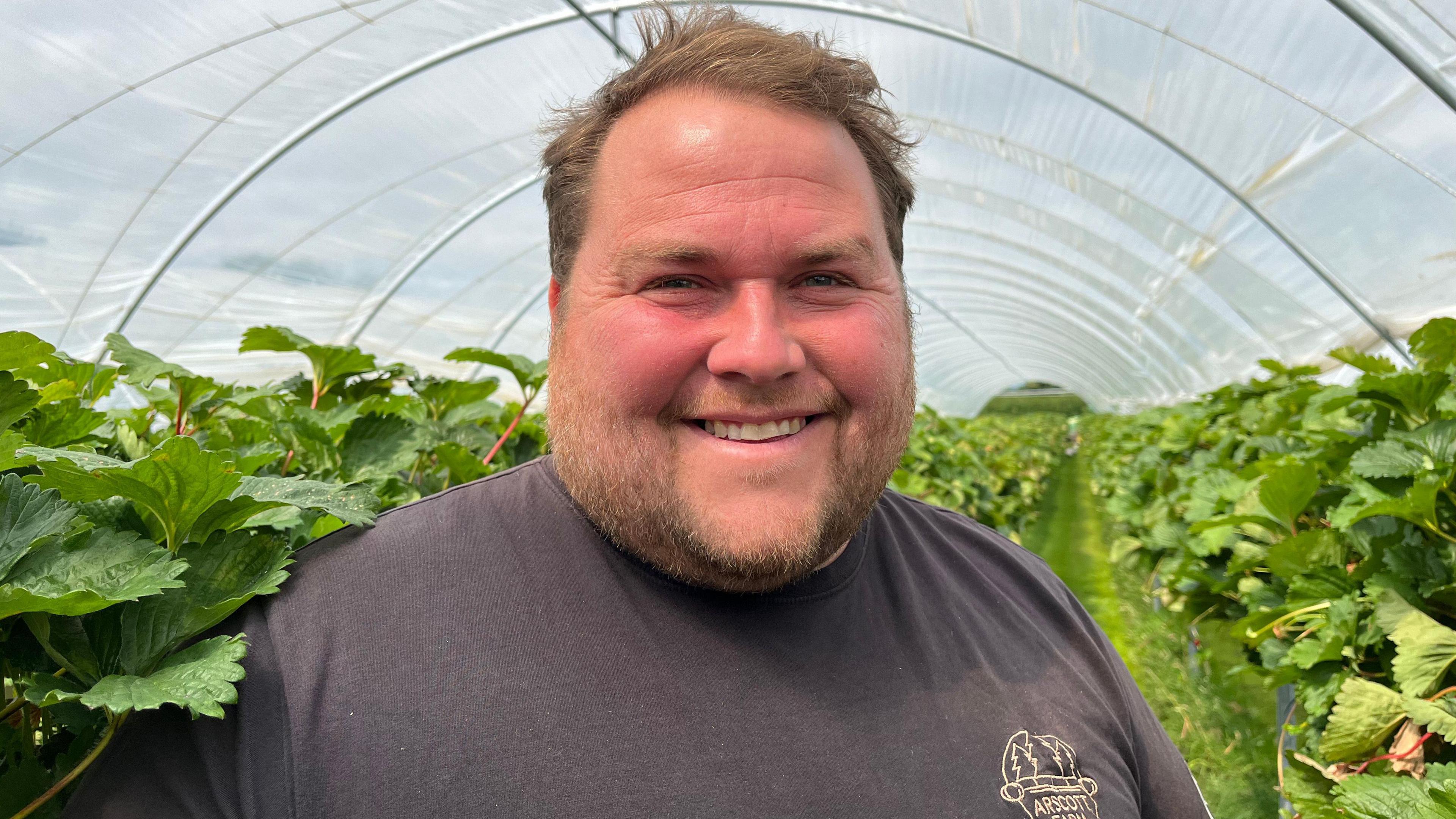 Joe Hamer stands inside a white polytunnel surrounded by green strawberry plants. He is smiling, and is wearing a grey t-shirt with a yellow logo that says "Arscott Farm"