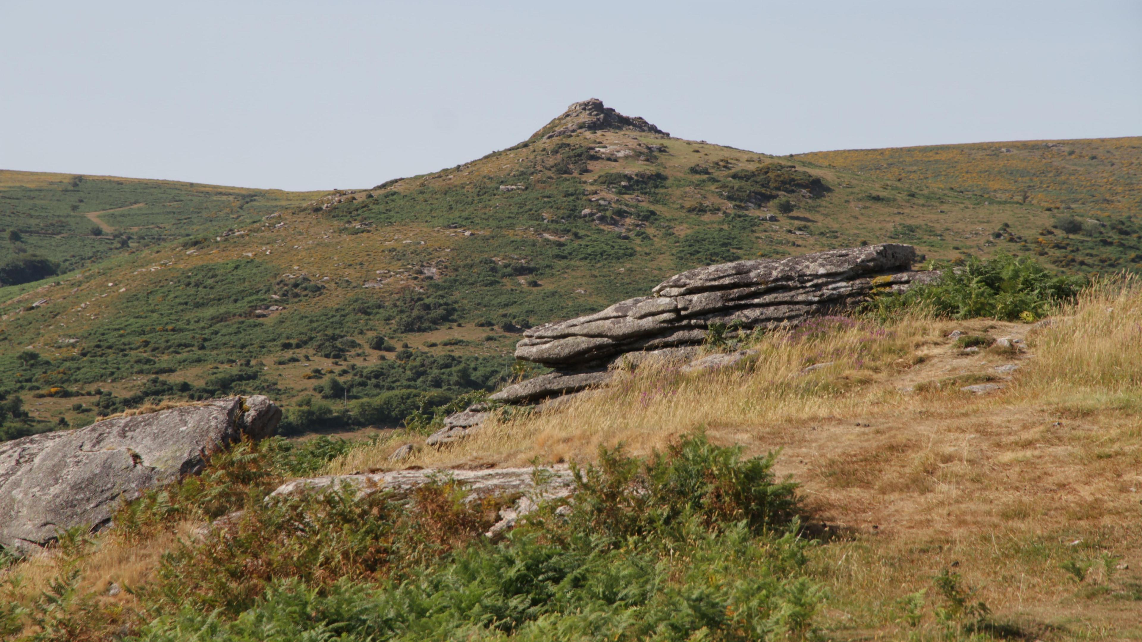 Sharp Tor on Dartmoor - a hilly landscape with blue skies behind.