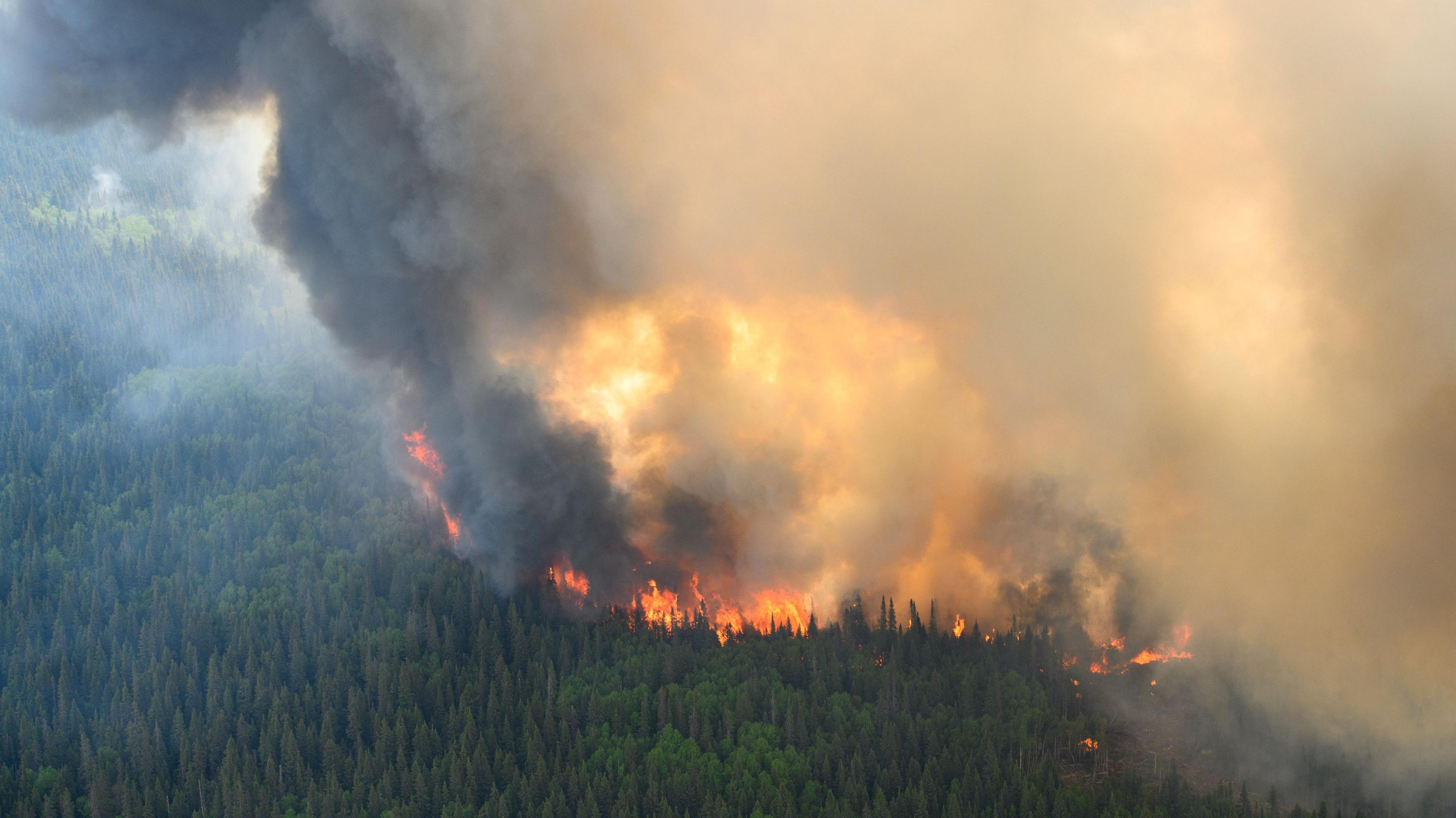 Flames reach upwards along the edge of a wildfire