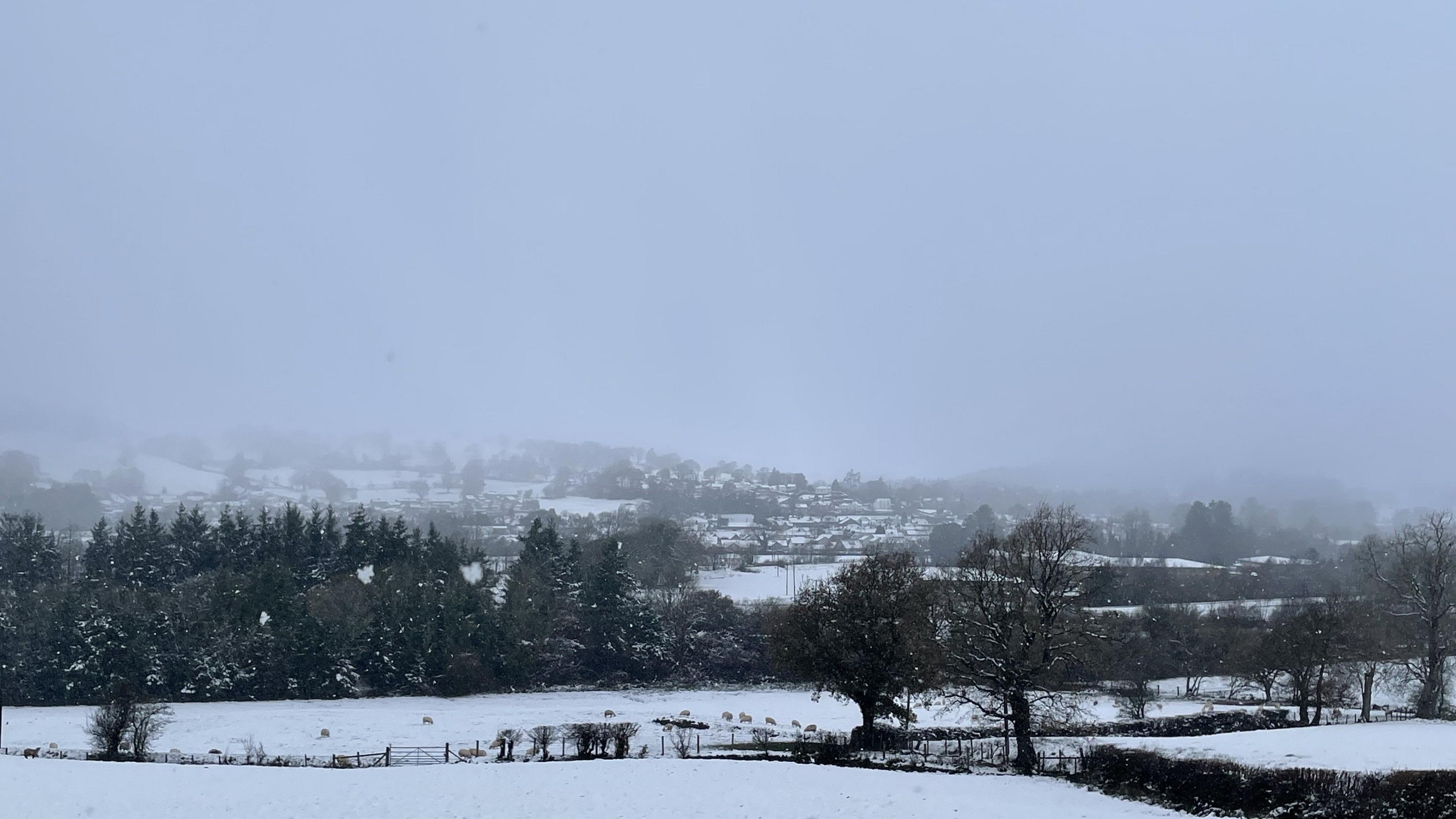 A field covered in snow in Llangywer, Gwynedd in Wales with a light dusting over trees under a cloudy sky