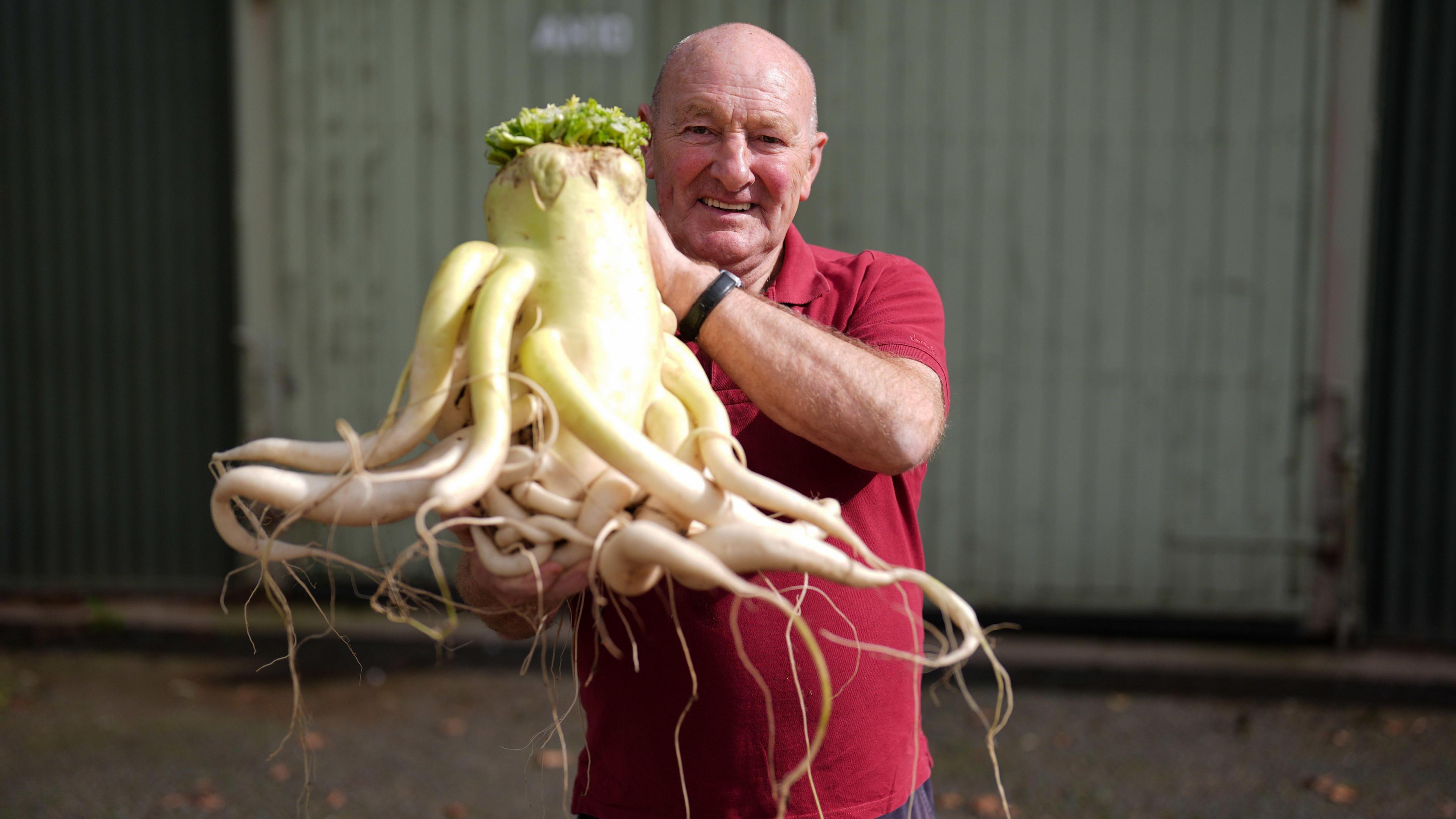 A man in a red polo shirt holds up a large radish.