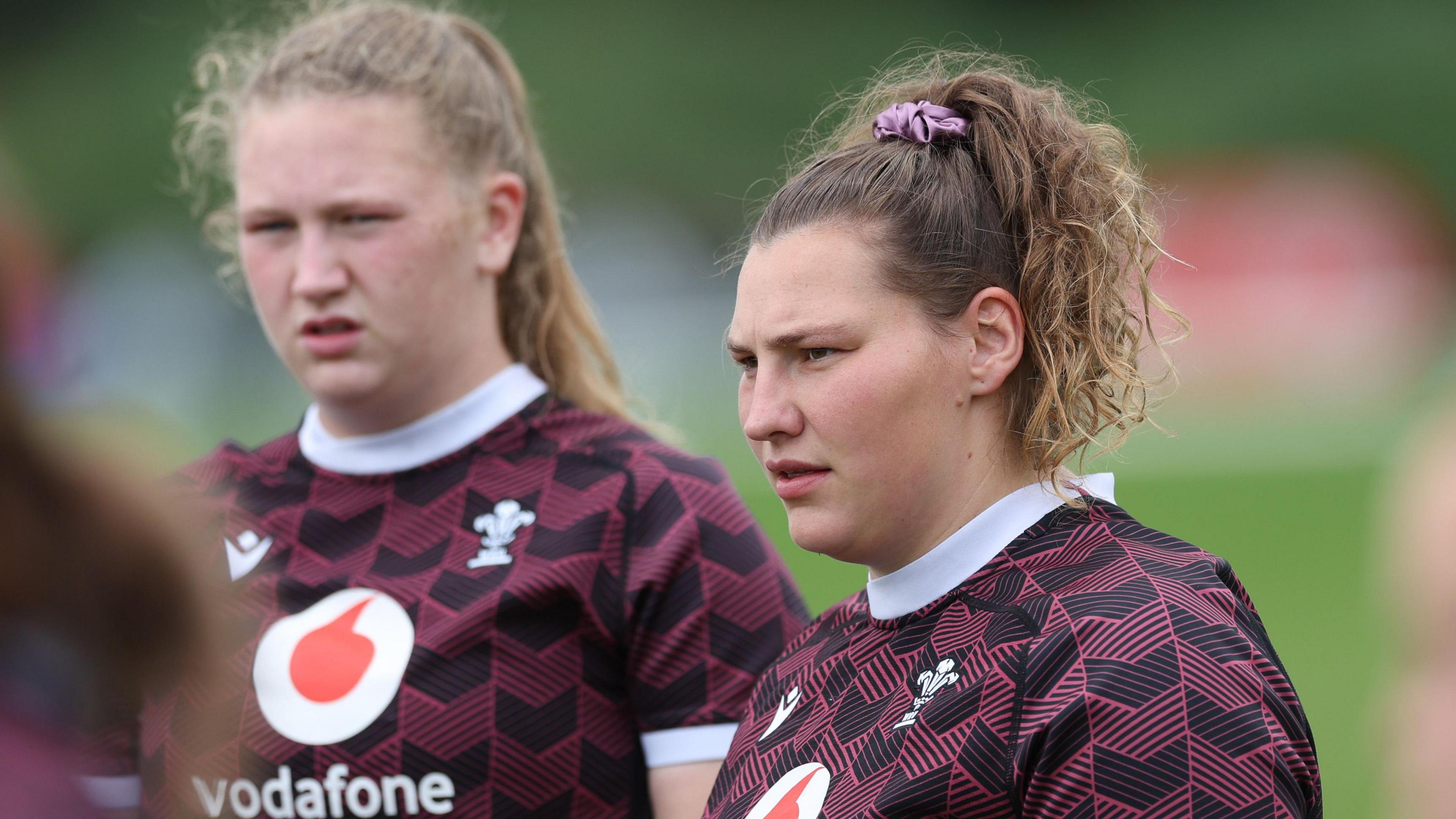 Alaw and Gwenllian Pyrs in training 