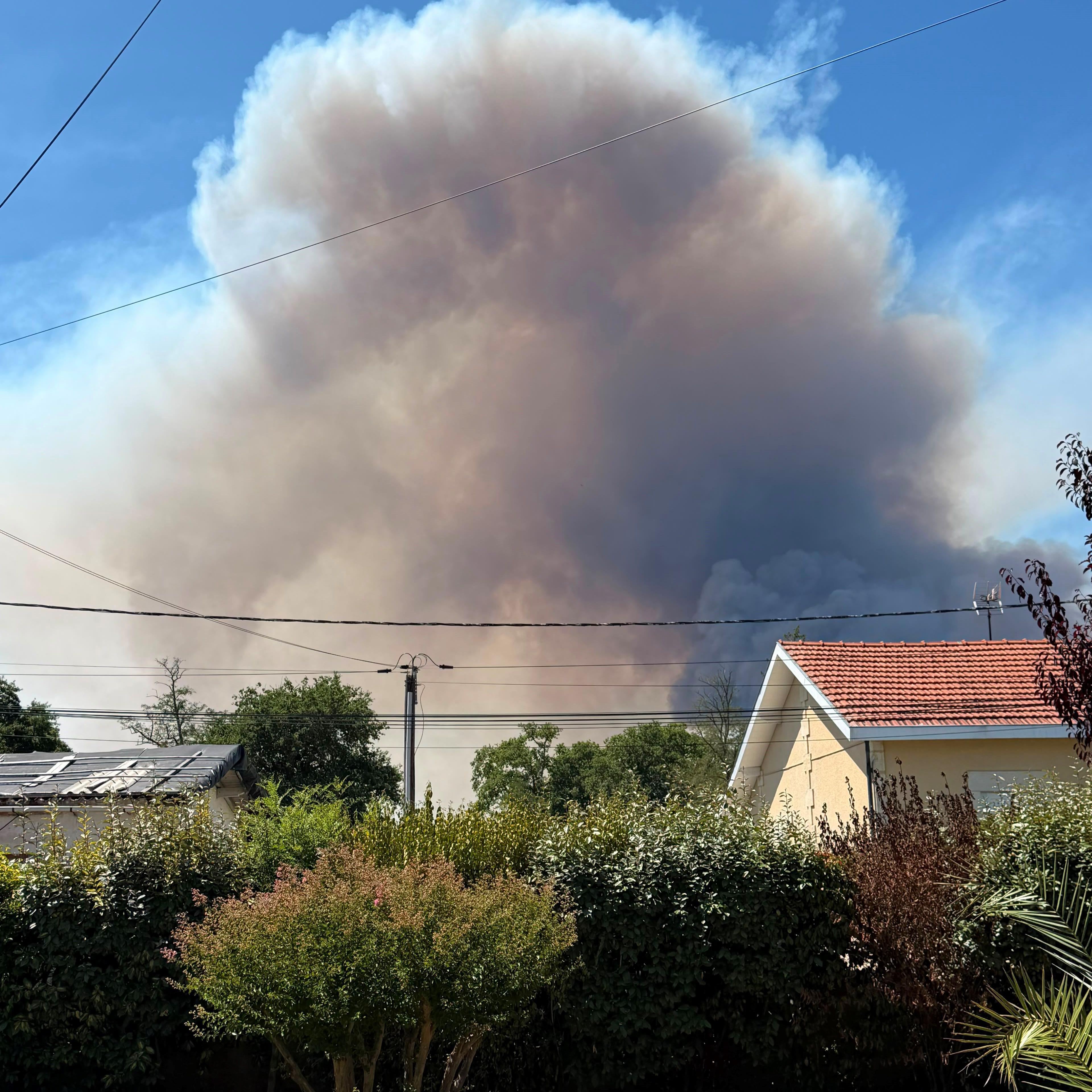 A huge cloud of smoke can be seen in the bright blue skies about a skyline of small houses, with a number of green bushes visible in the foreground