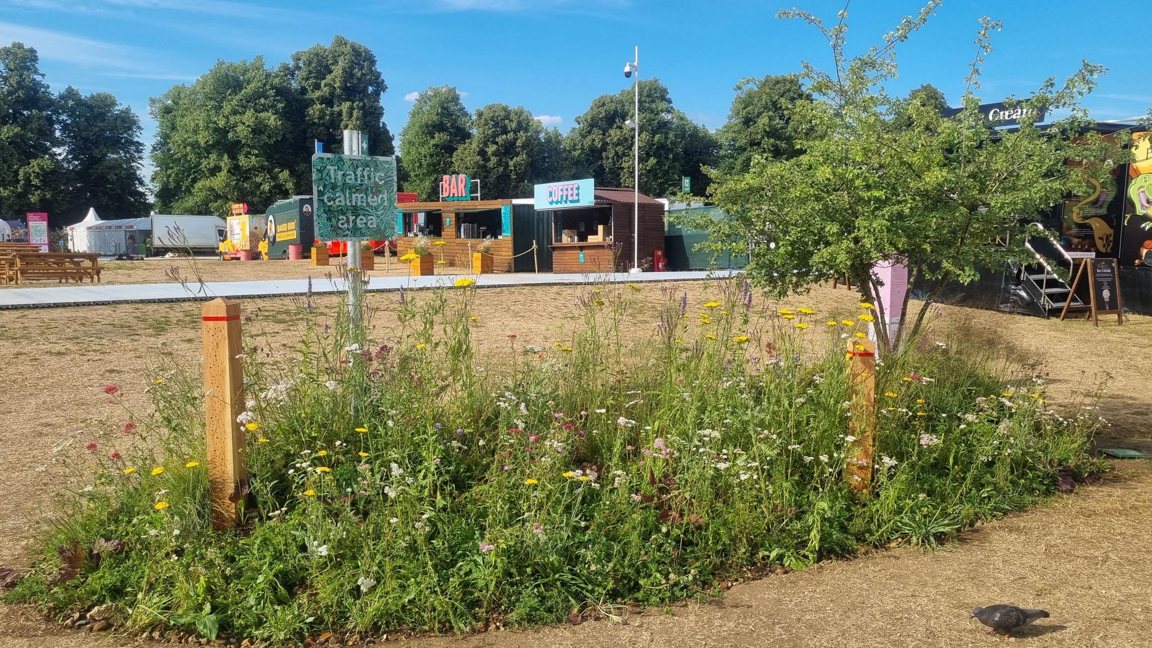 A collection of grasses and wildflowers, and a tree, forming the Life on the Verge exhibit. The garden also contains two brown posts with red reflectors on top and a green "traffic calmed area" sign.