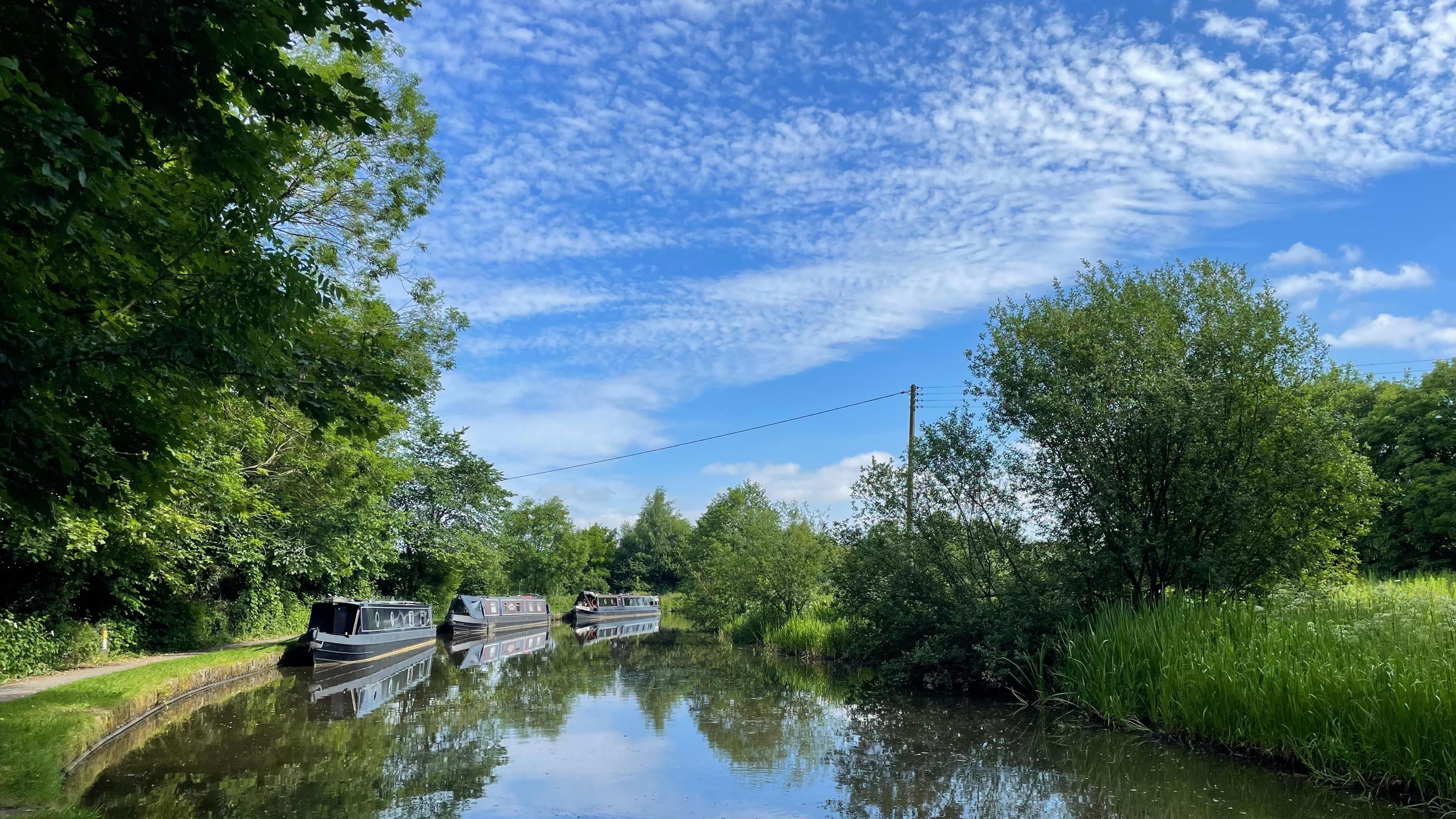 Trentham canal