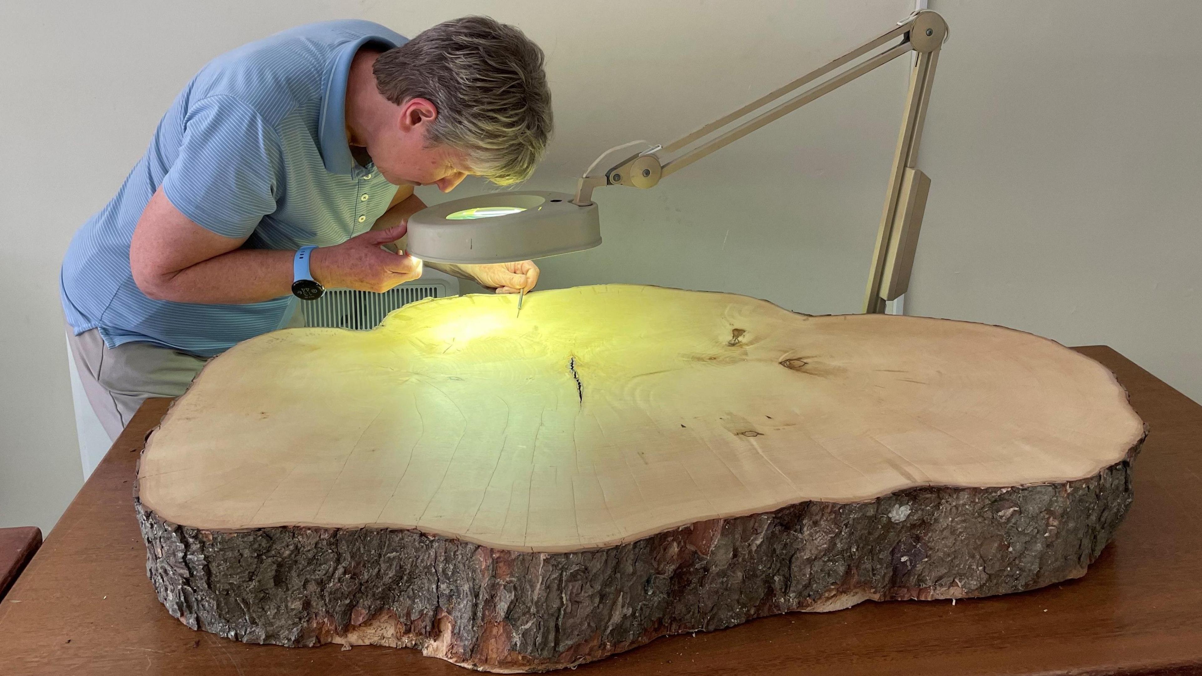 A woman with short grey hair looks through a large white magnifying glass at a big cross-section of trunk lying on a wooden table.