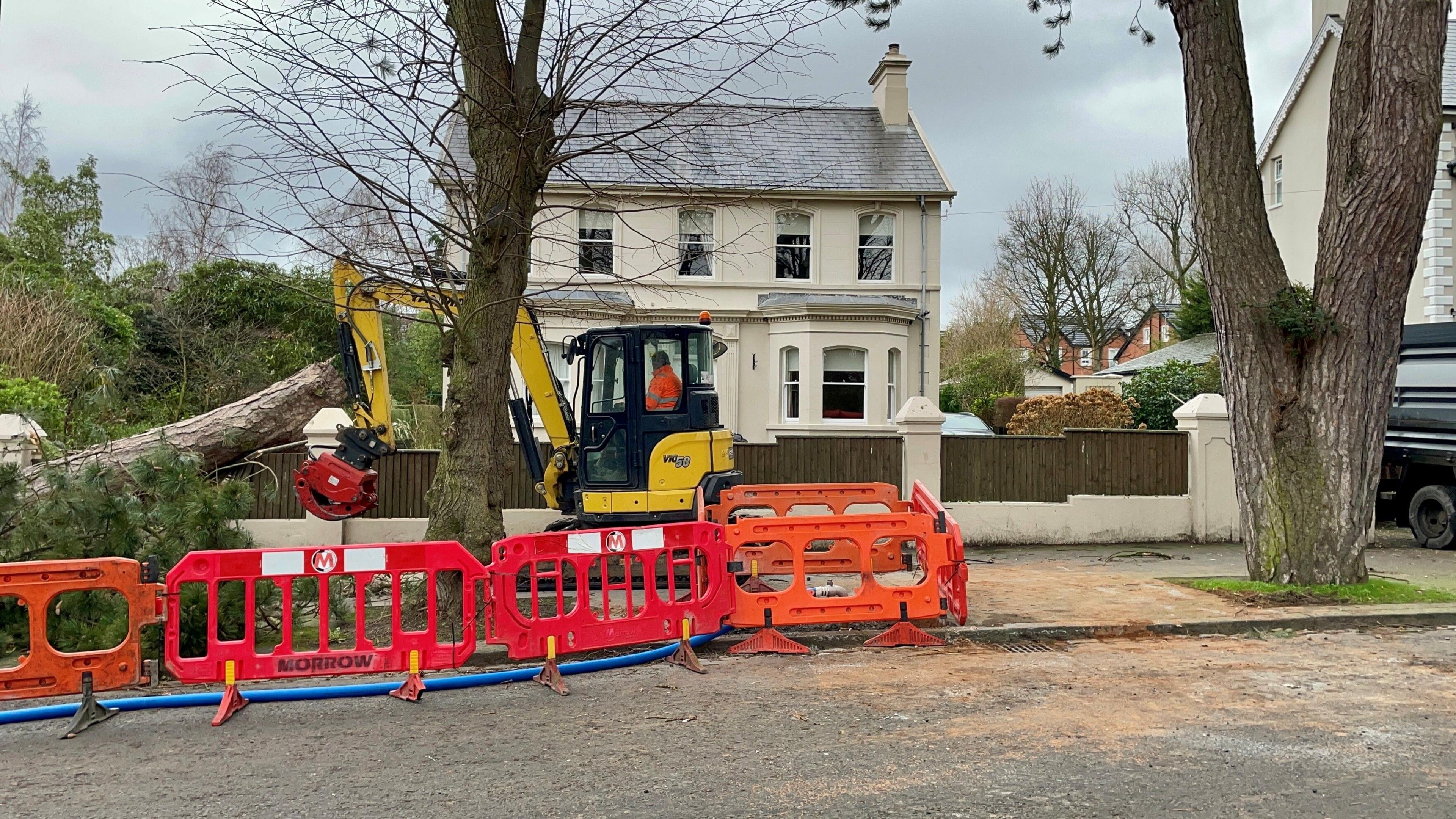 Tree removal work on Cyprus Avenue in east Belfast. More than 100,000 remain without power in Northern Ireland in the aftermath of Storm Eowyn. 
