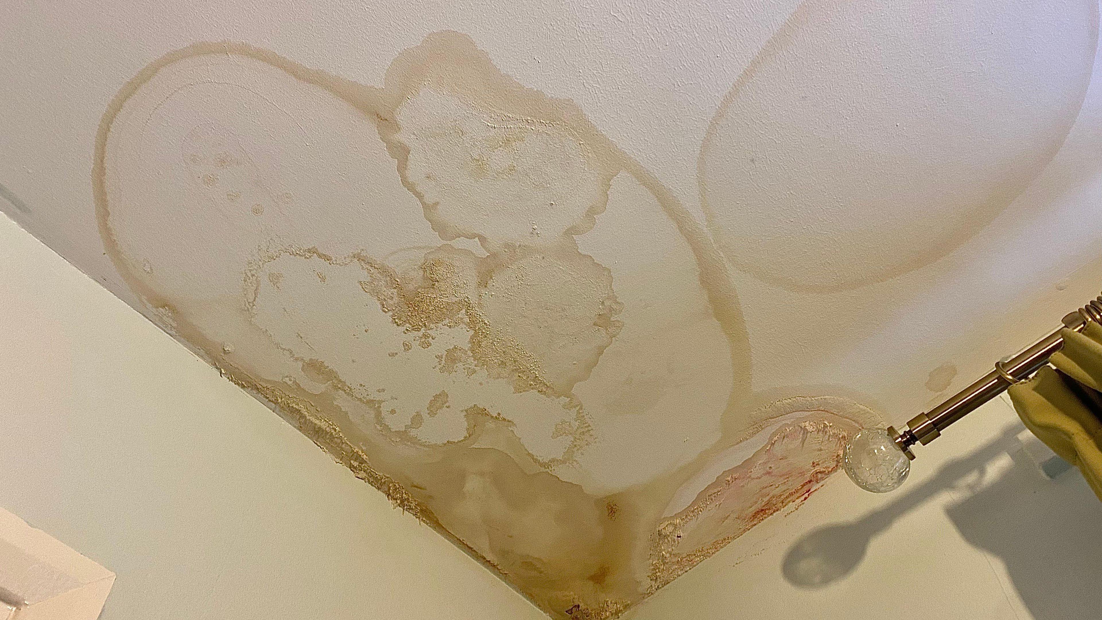 Damp on the ceiling