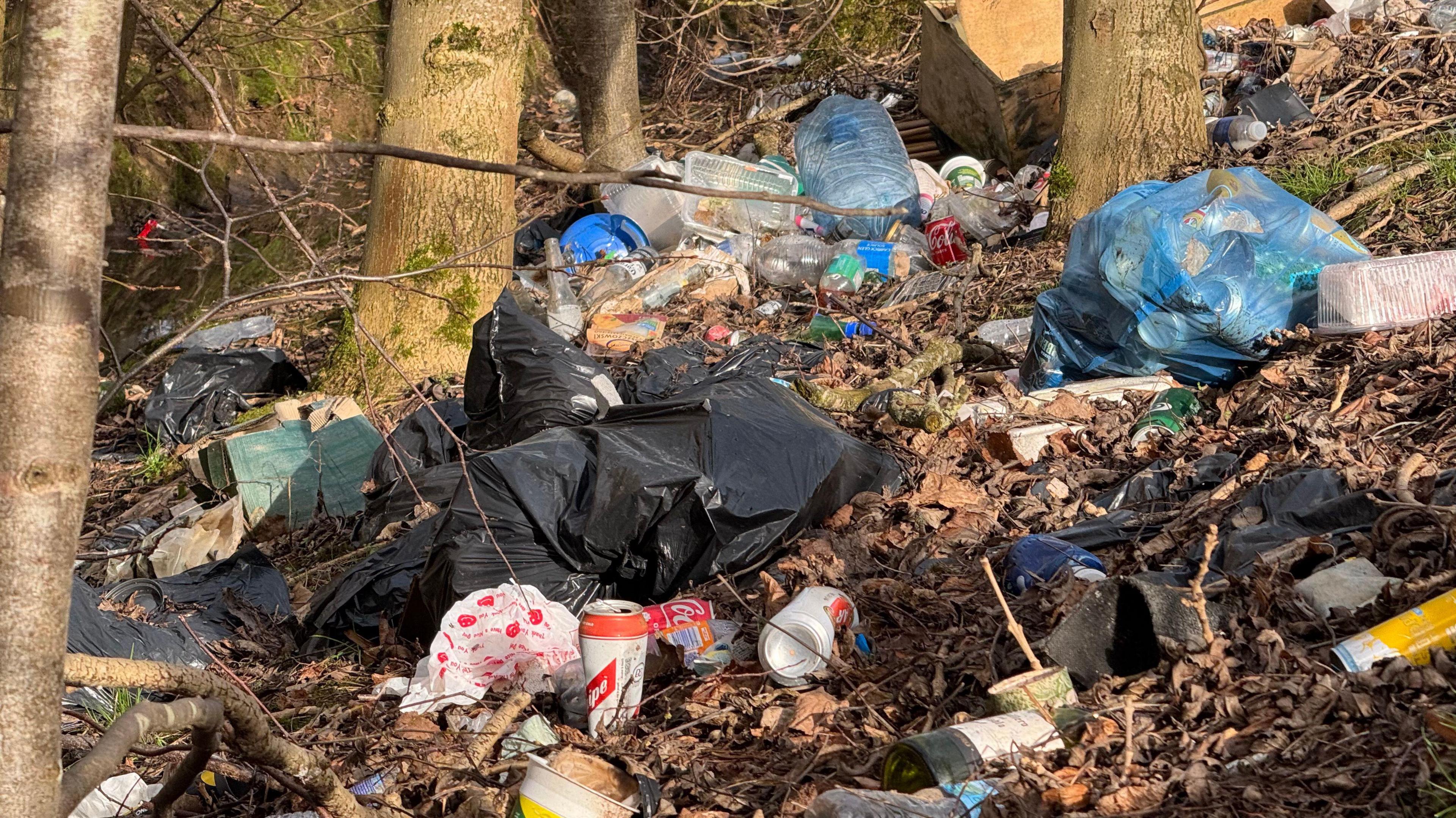 Rubbish litters the slopes of a layby on the A453