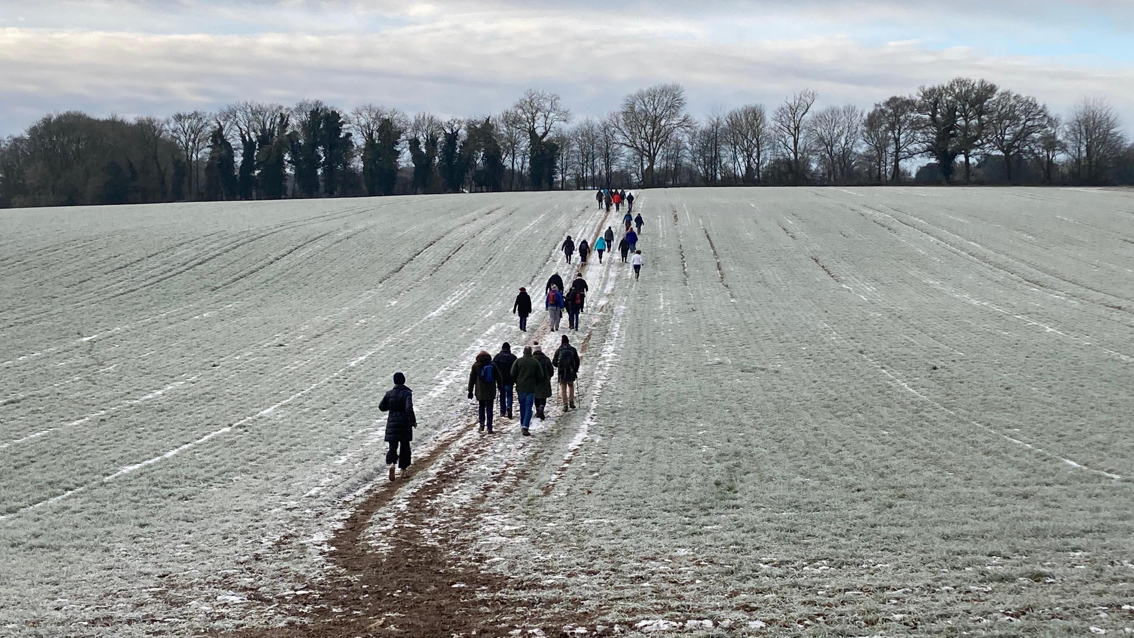 A line of walkers on a footpath through a frosty field. There is a hedgerow of bushes and trees on the far side of the tree. 