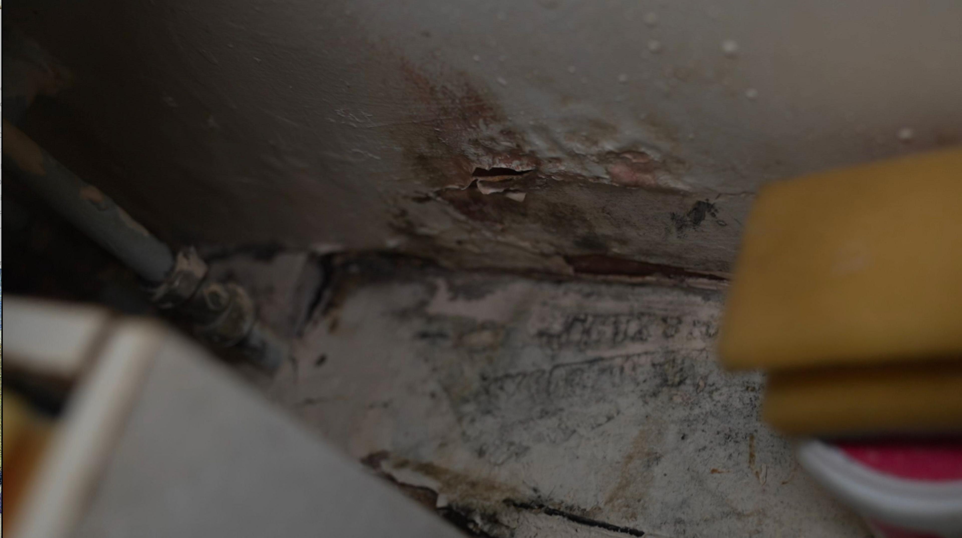 Bathroom picture of Stacey Coveley's mould