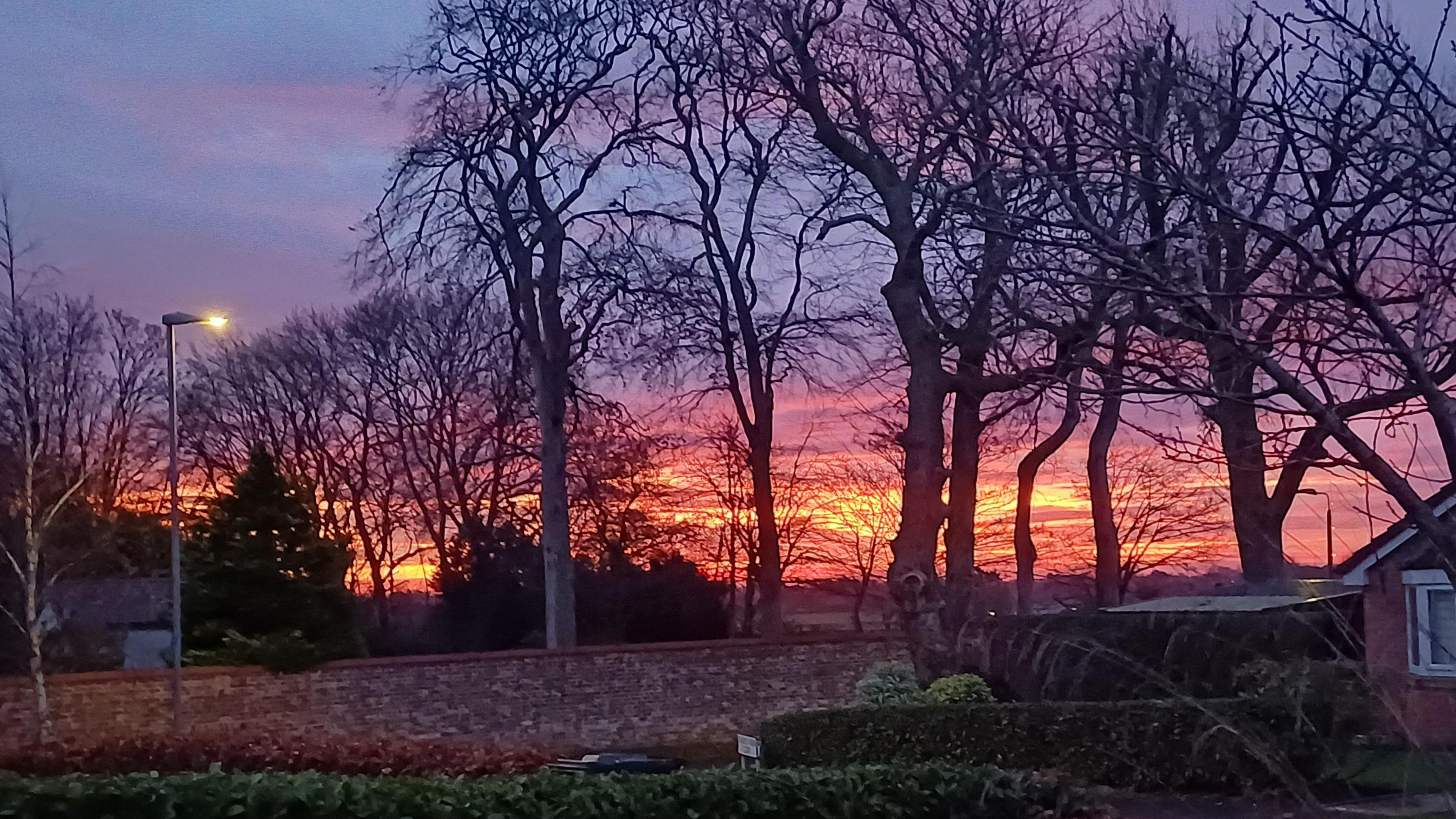 An orange, pink and blue sunrise can be seen behind trees and fences